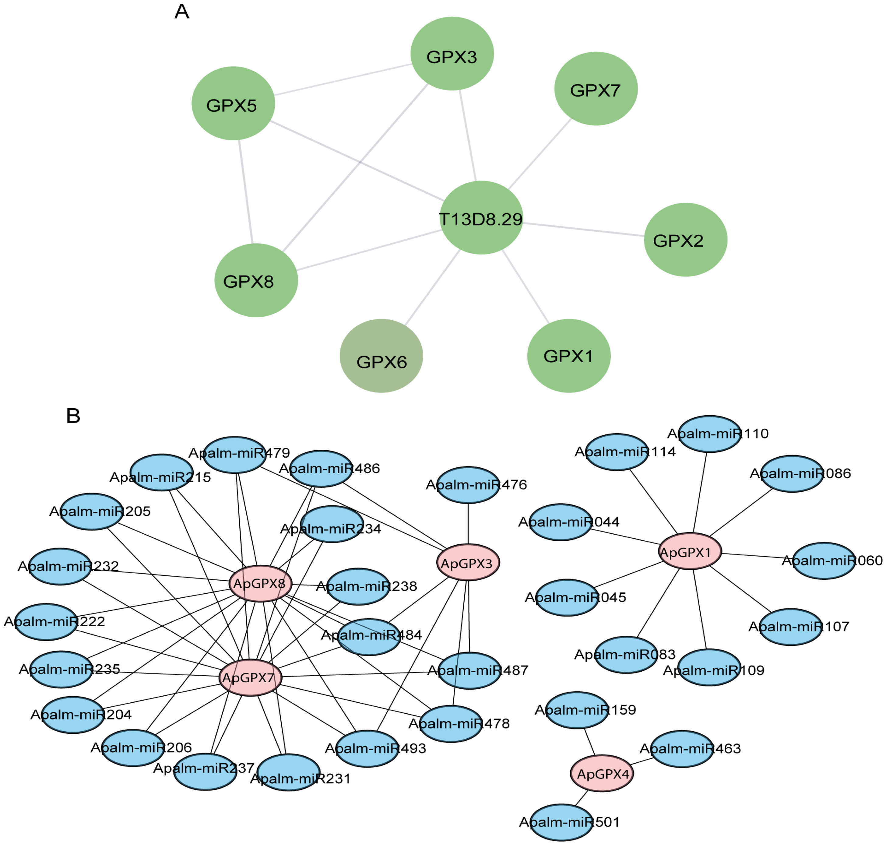 Agronomy 15 02386 g007 Agronomy 15 02386 g007
