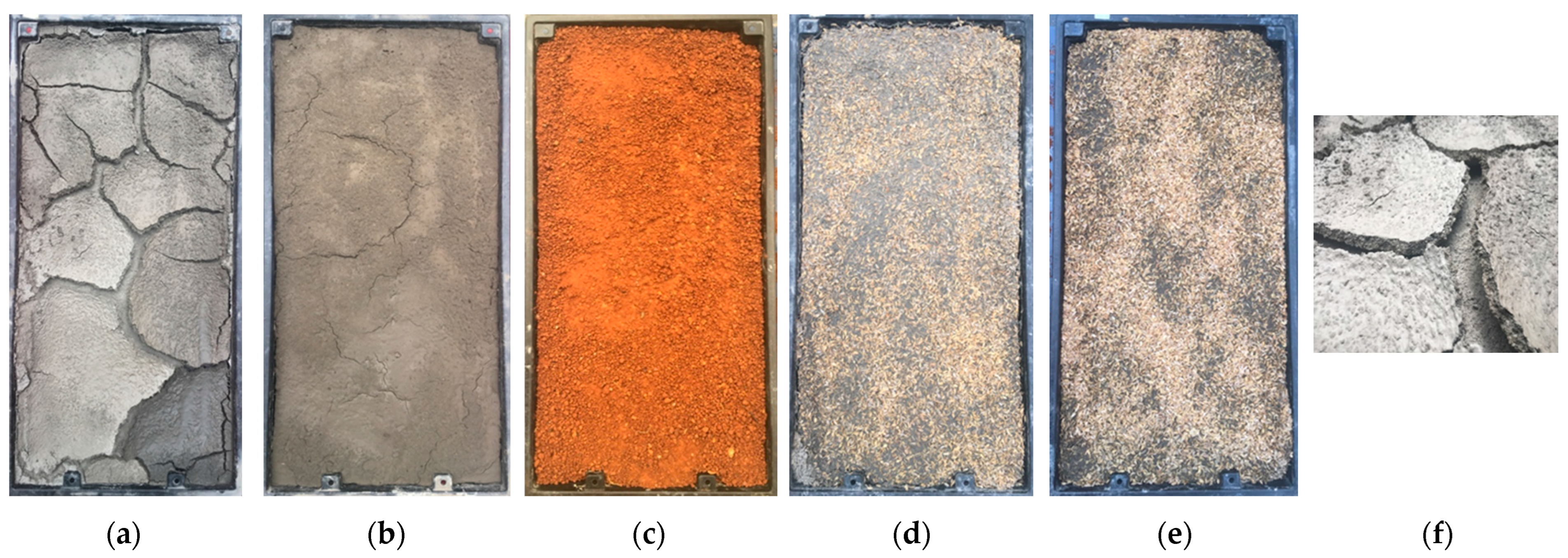 Agronomy 15 02387 g001 Agronomy 15 02387 g001