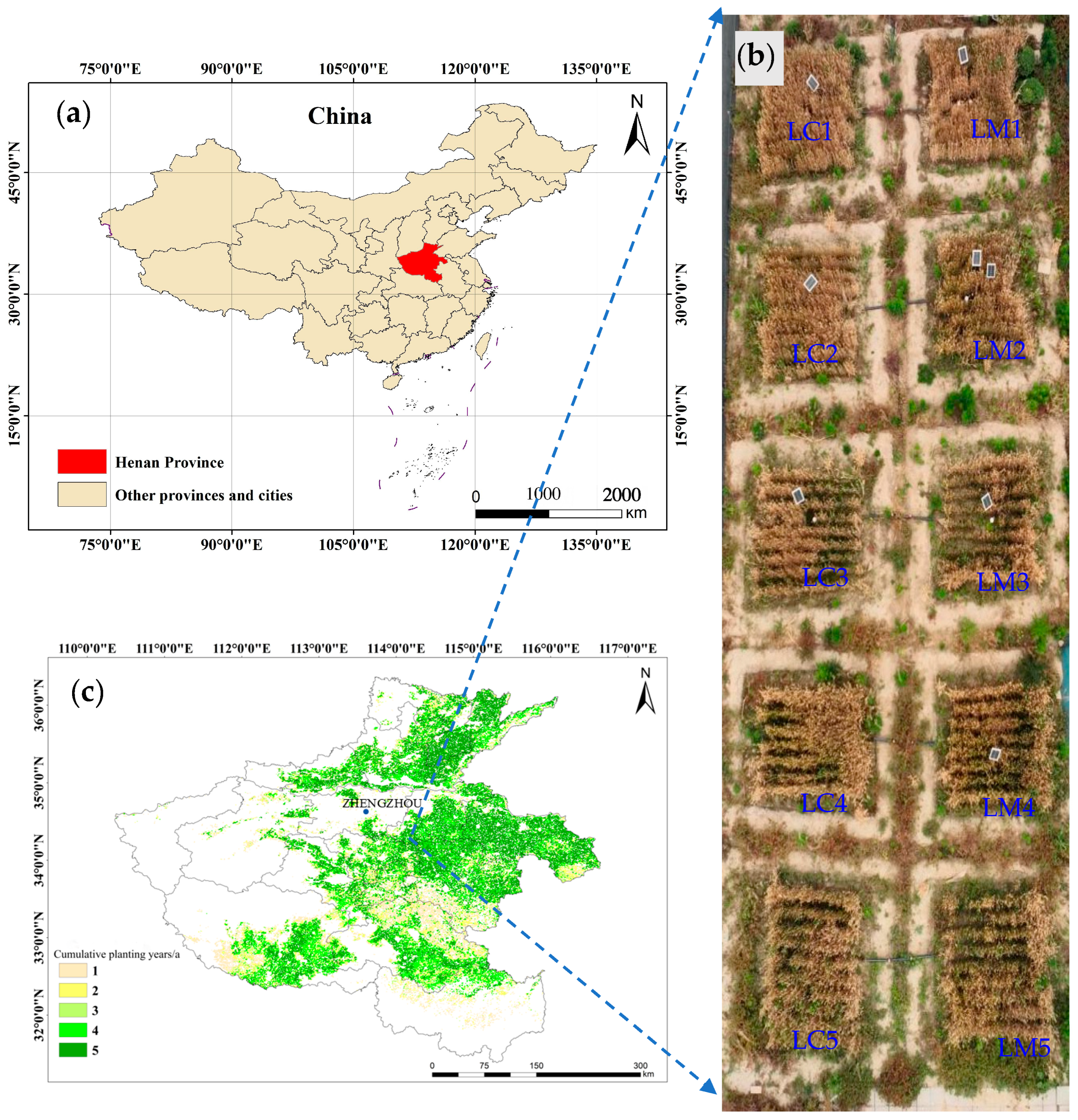 Agronomy 15 02388 g001