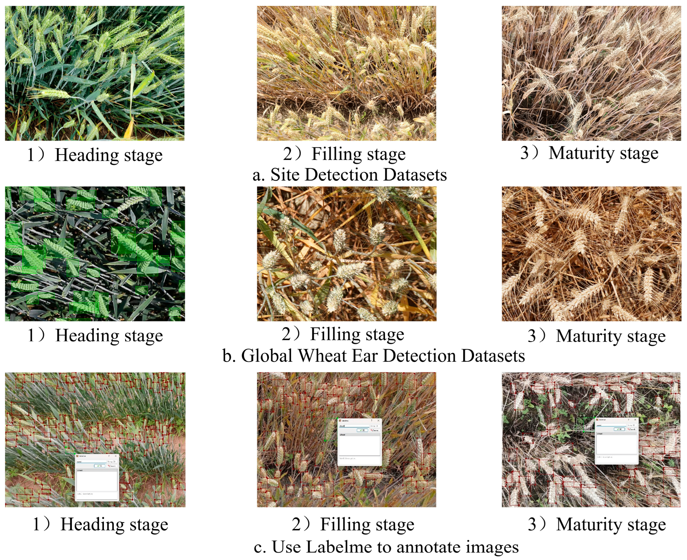 Agronomy 15 02388 g002