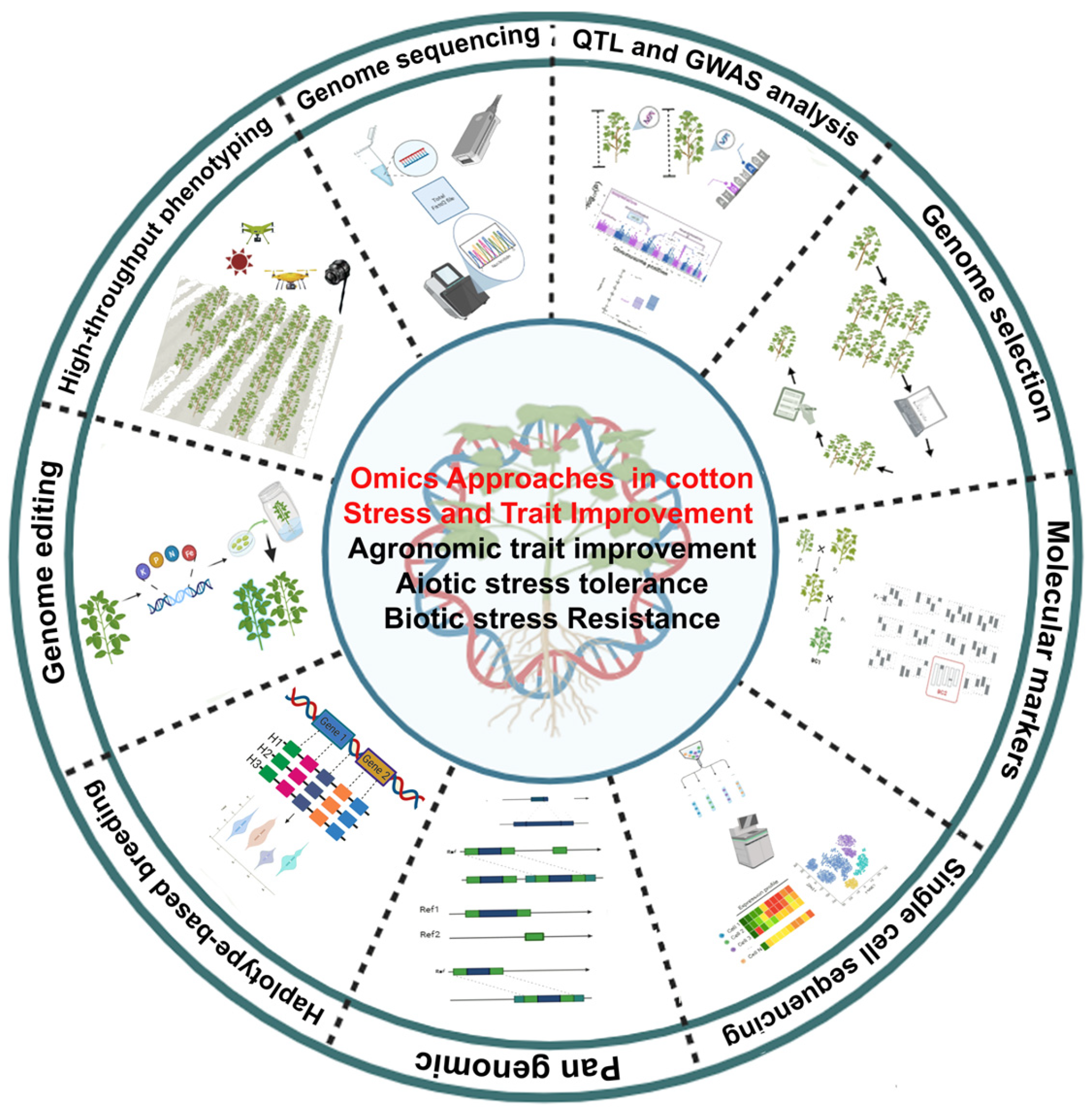 Agronomy 15 02393 g001 Agronomy 15 02393 g001