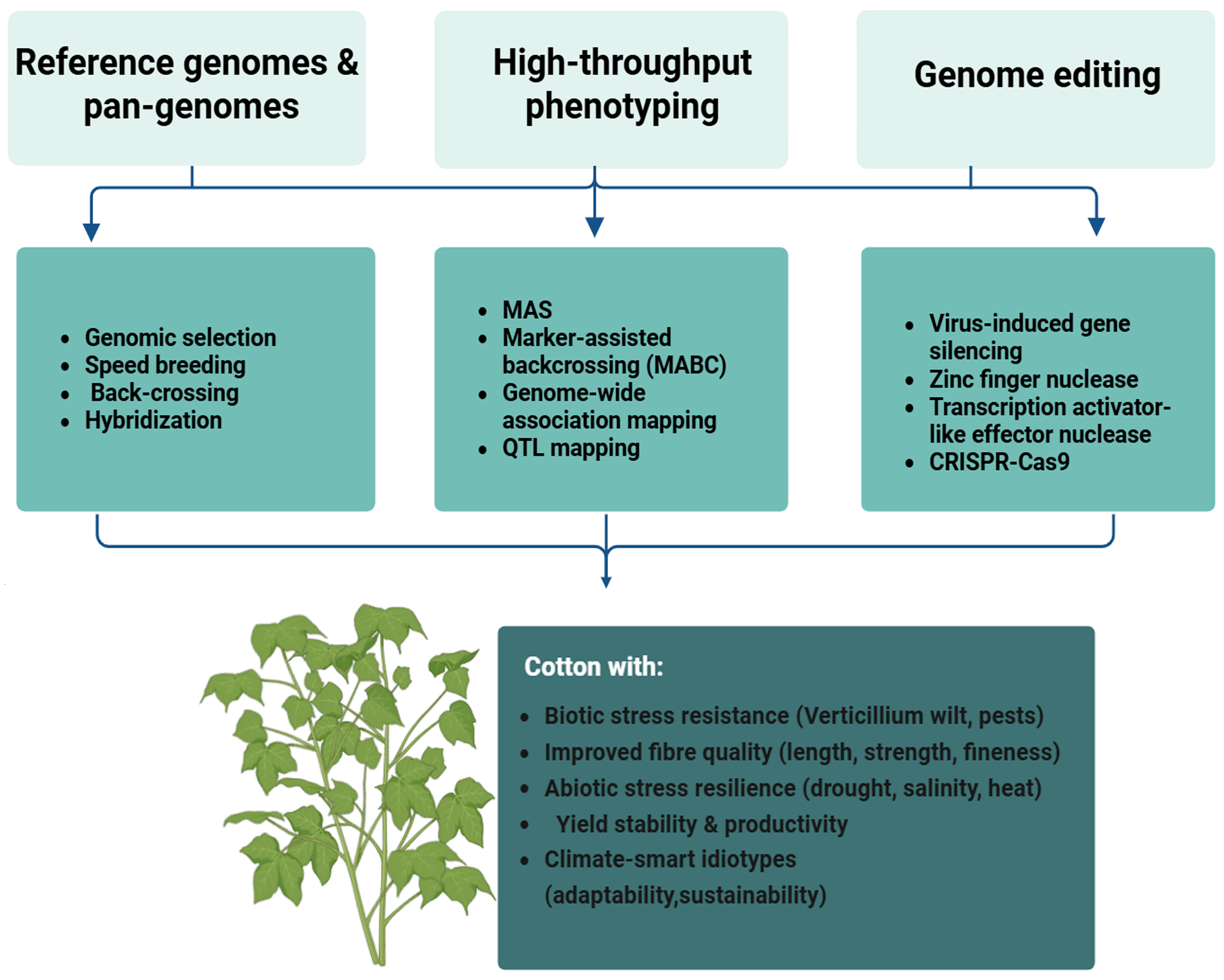 Agronomy 15 02393 g002 Agronomy 15 02393 g002