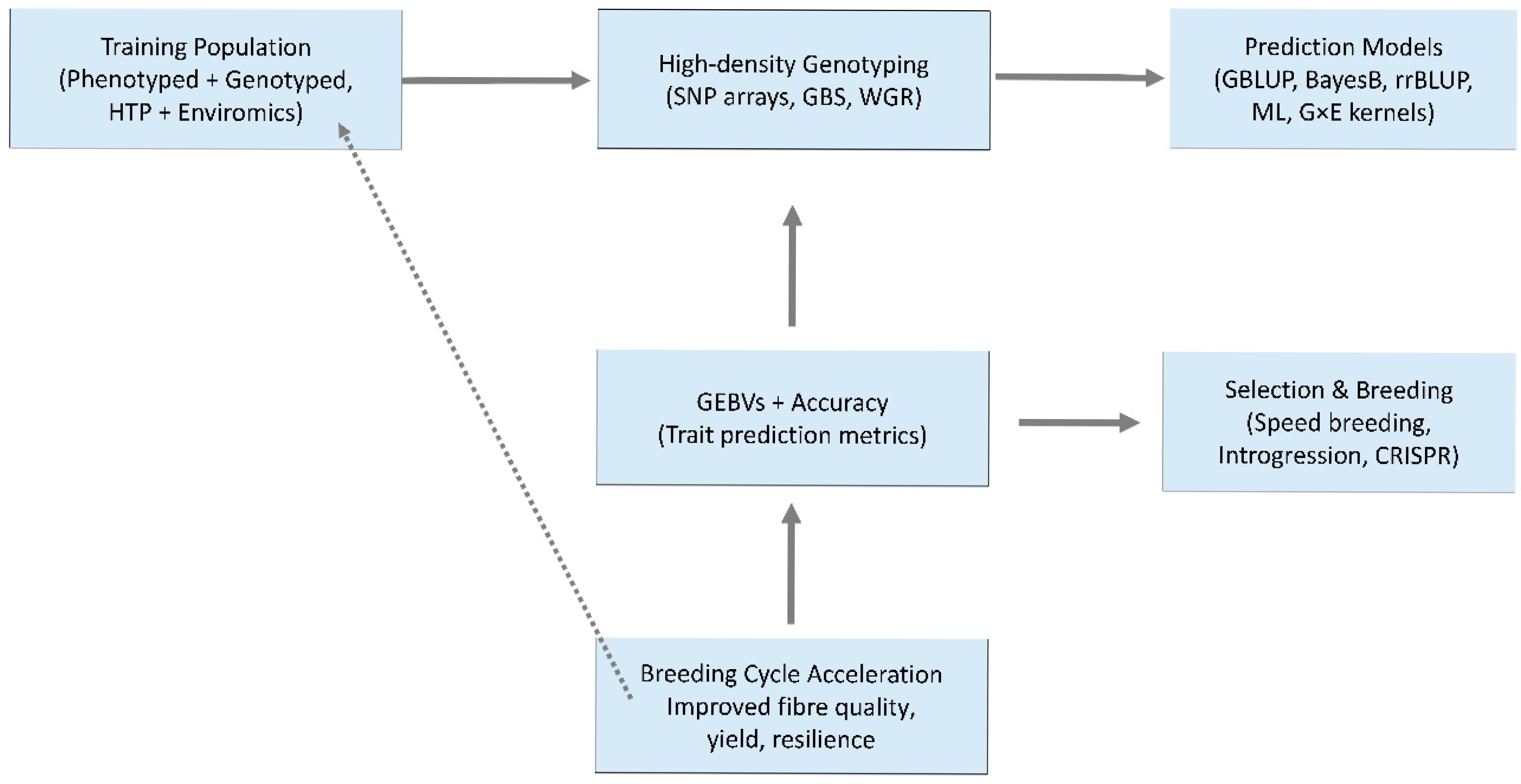 Agronomy 15 02393 g003 Agronomy 15 02393 g003