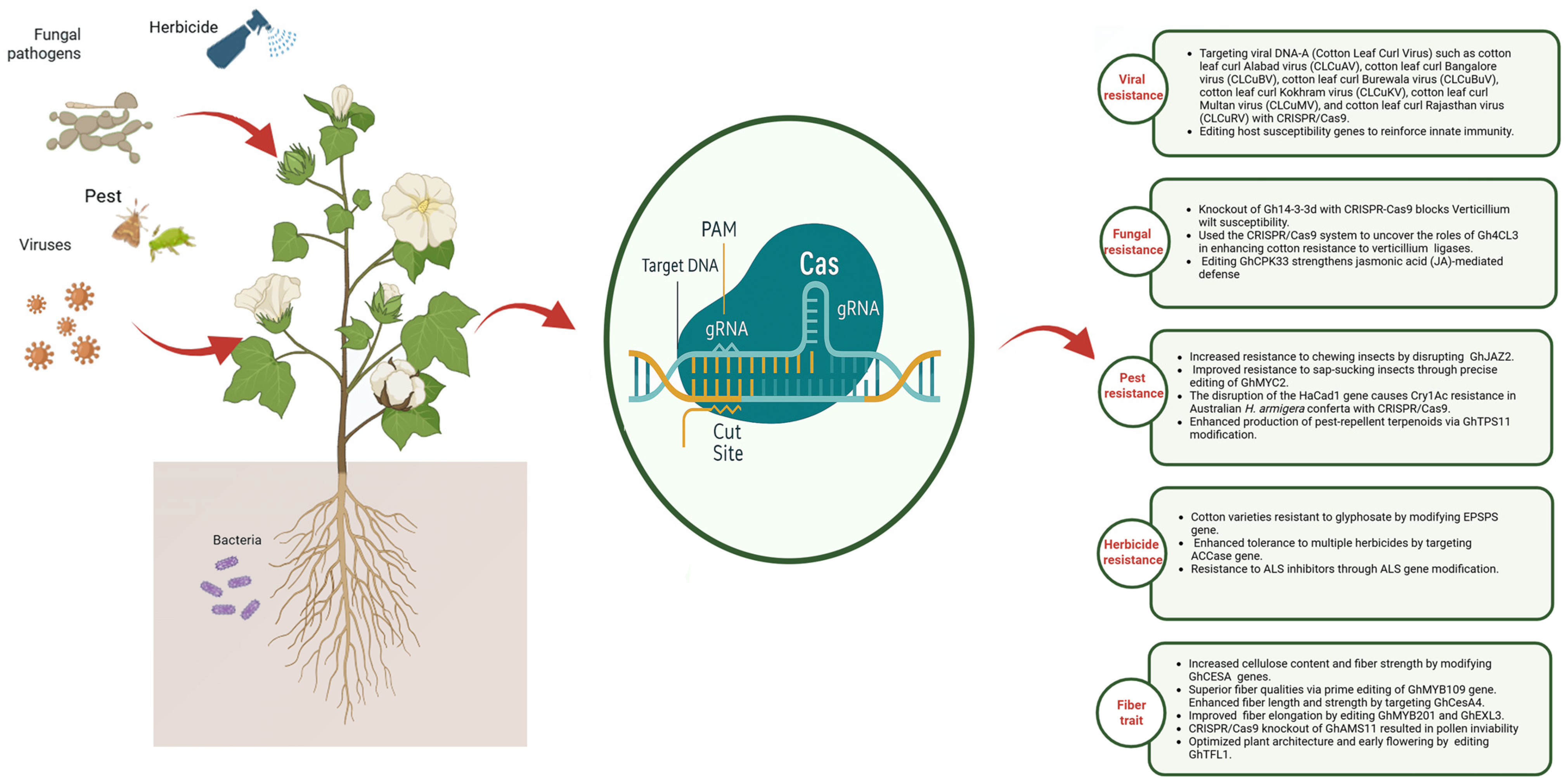 Agronomy 15 02393 g005 Agronomy 15 02393 g005