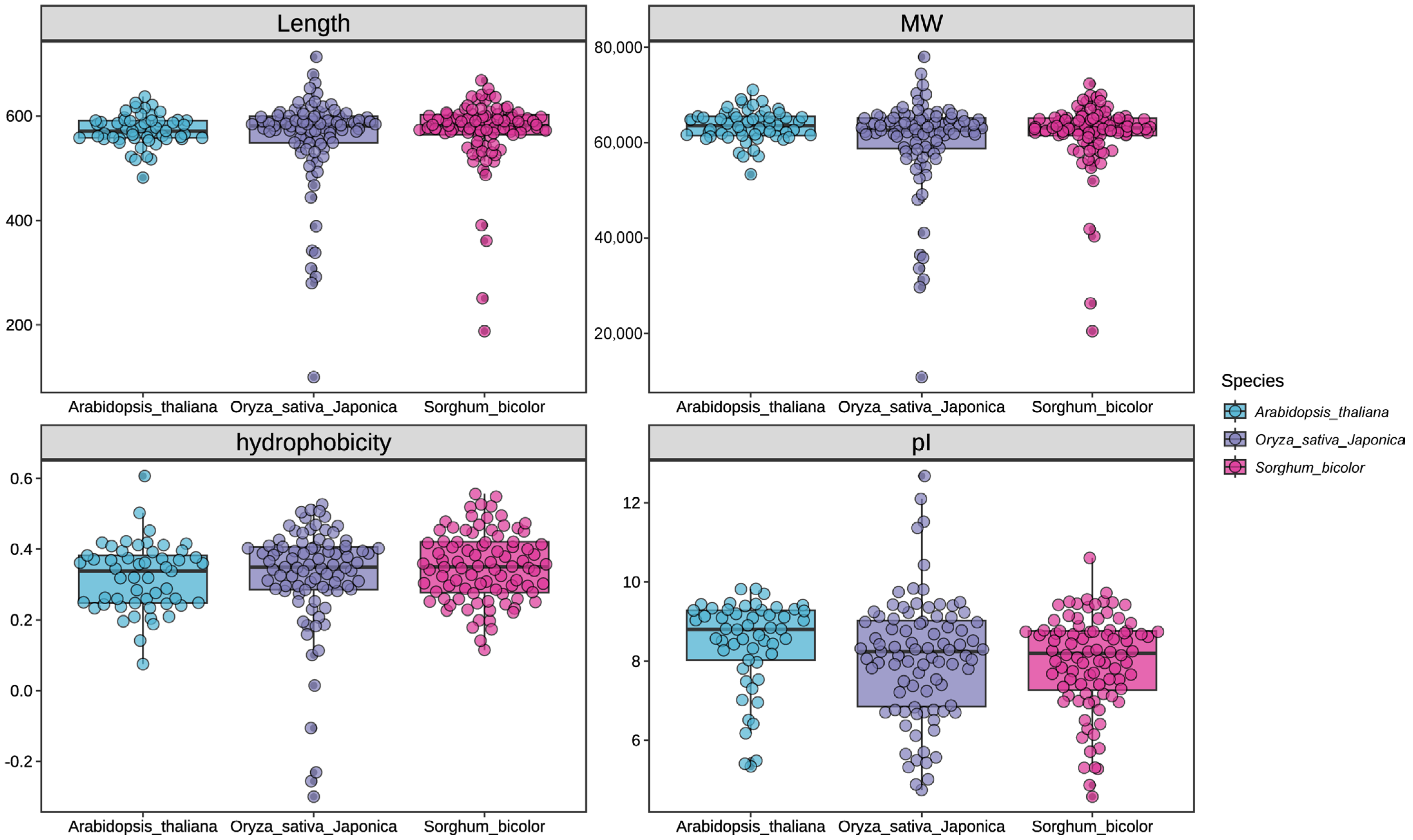 Agronomy 15 02402 g001