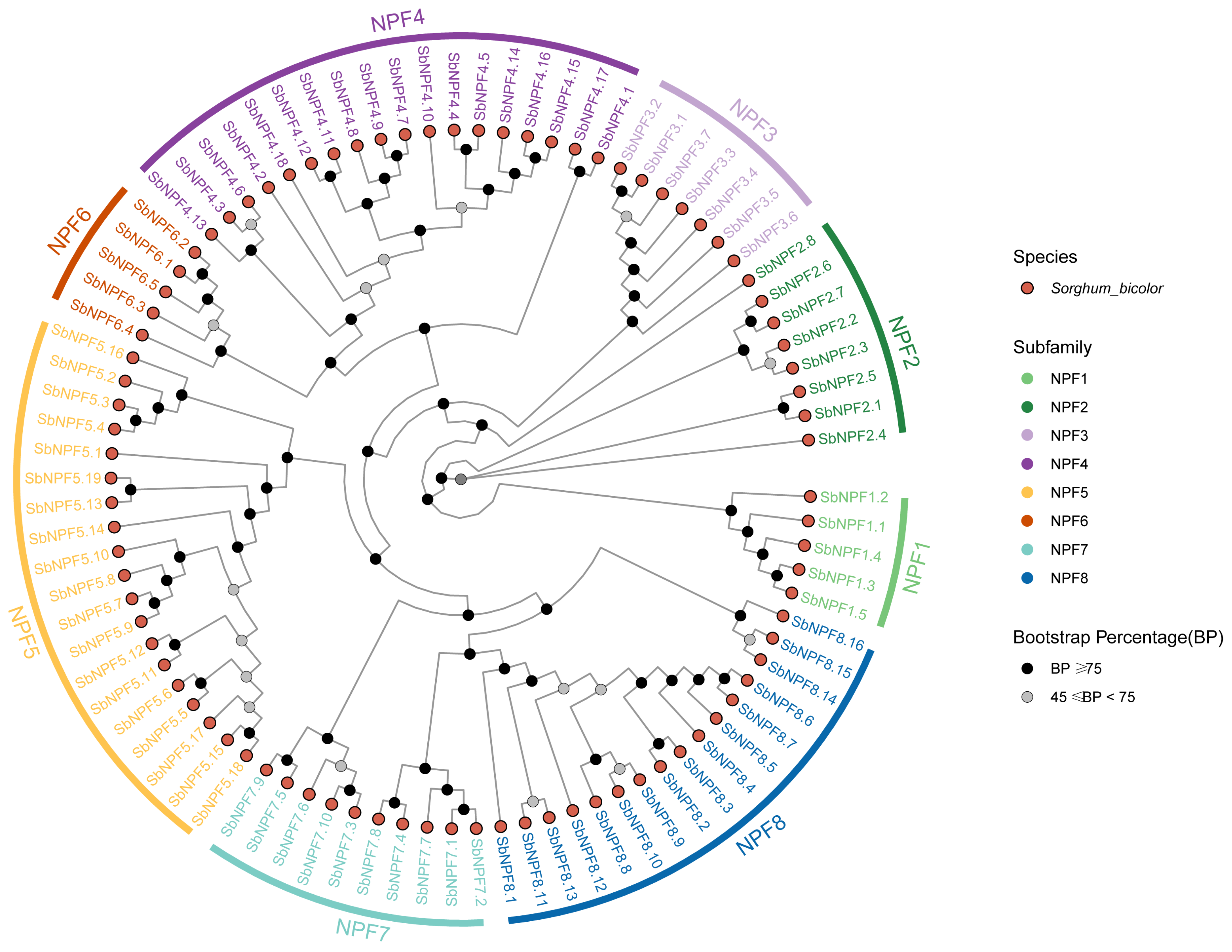 Agronomy 15 02402 g002