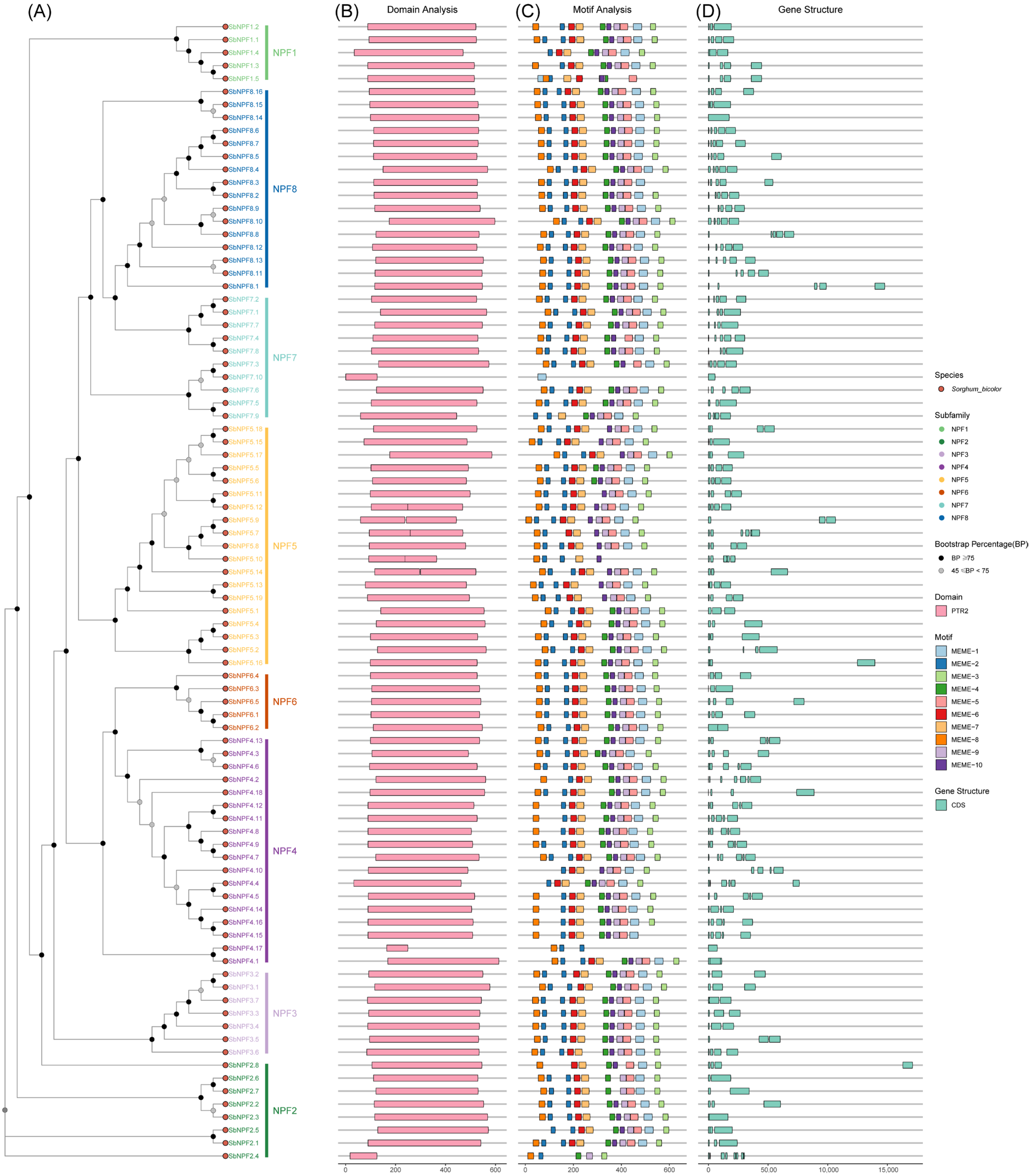 Agronomy 15 02402 g004