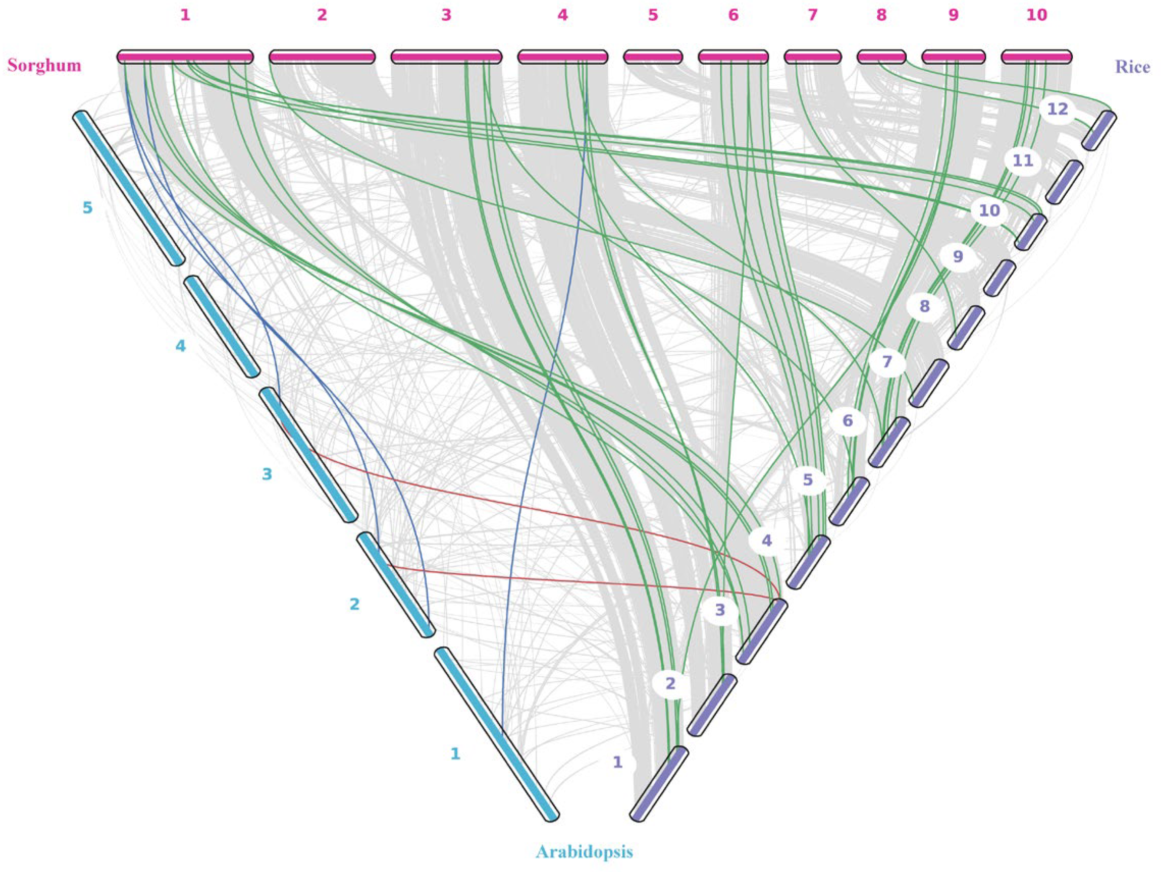 Agronomy 15 02402 g007