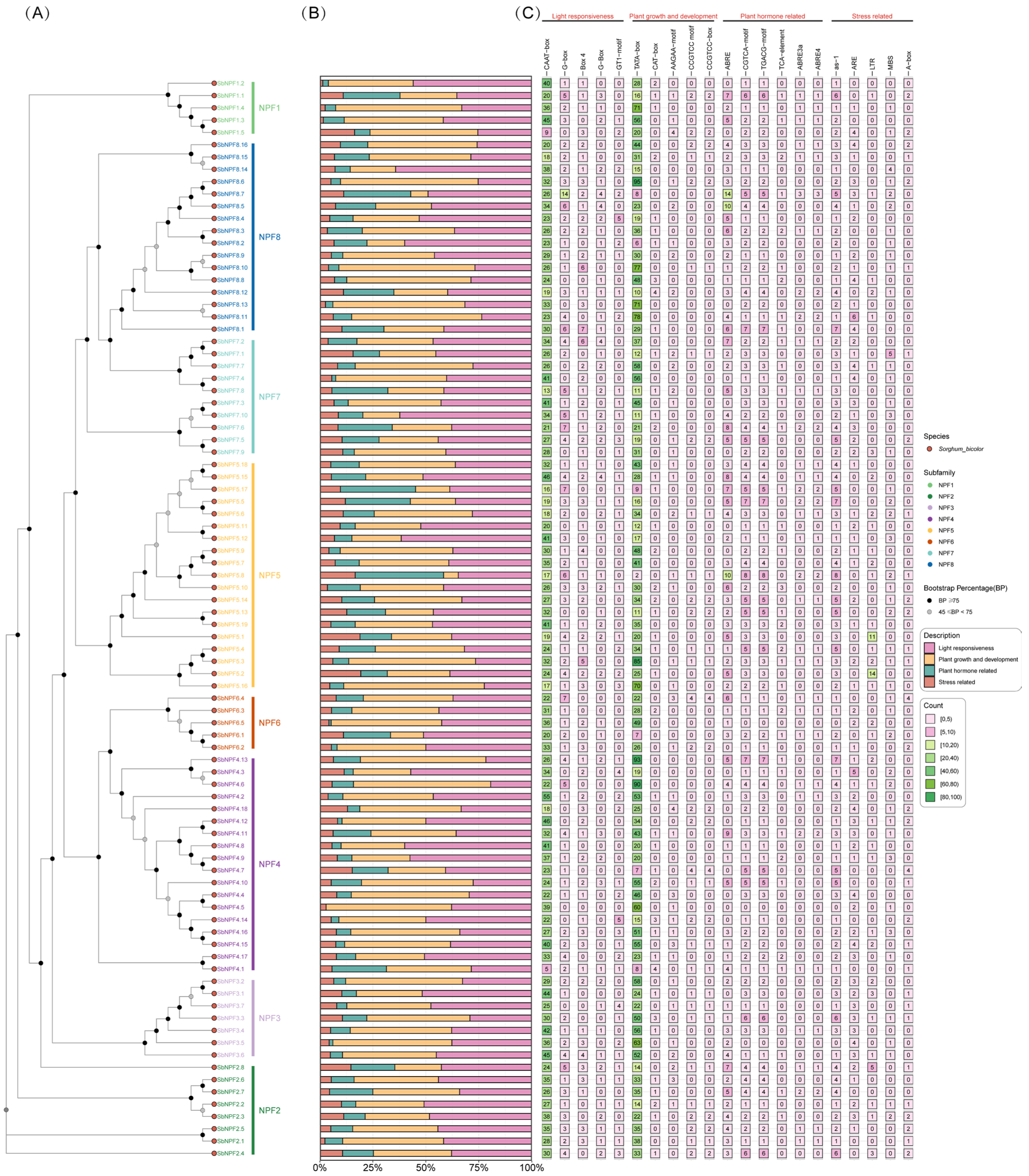 Agronomy 15 02402 g008