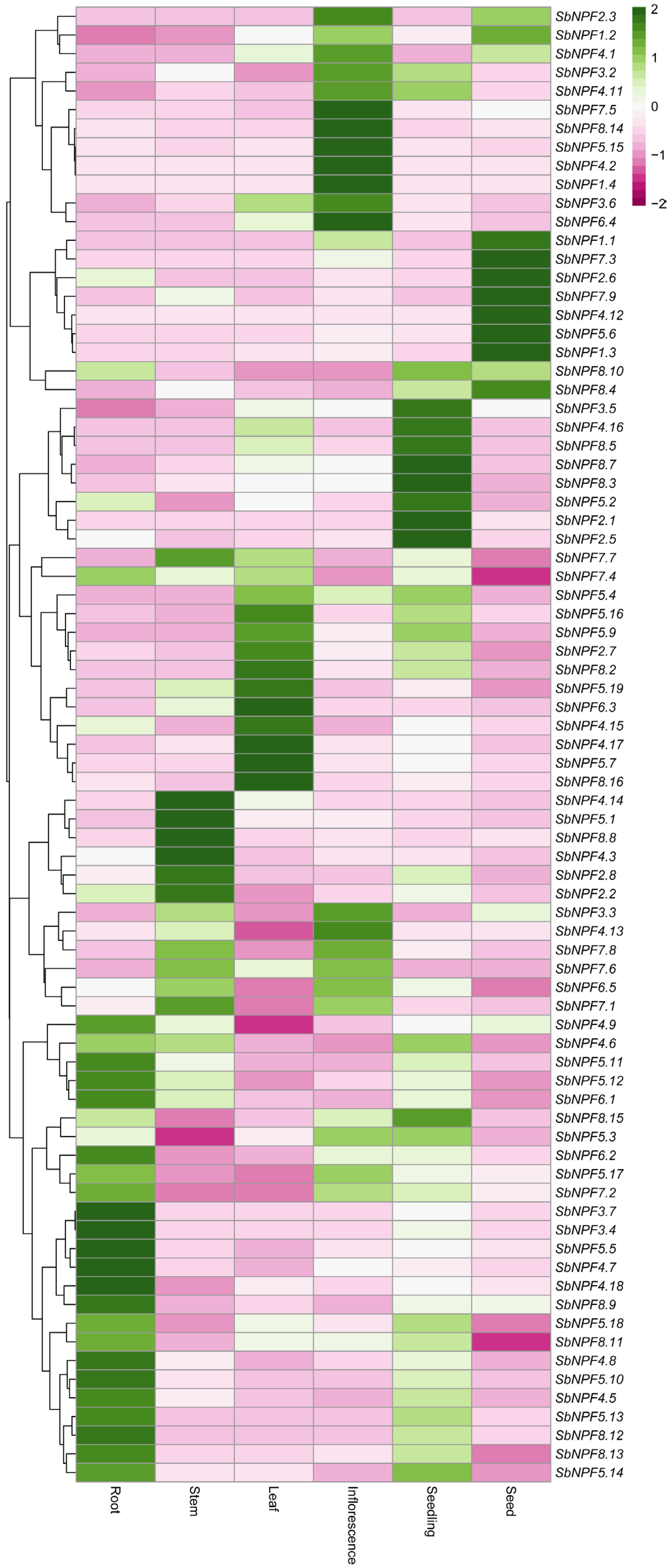 Agronomy 15 02402 g009