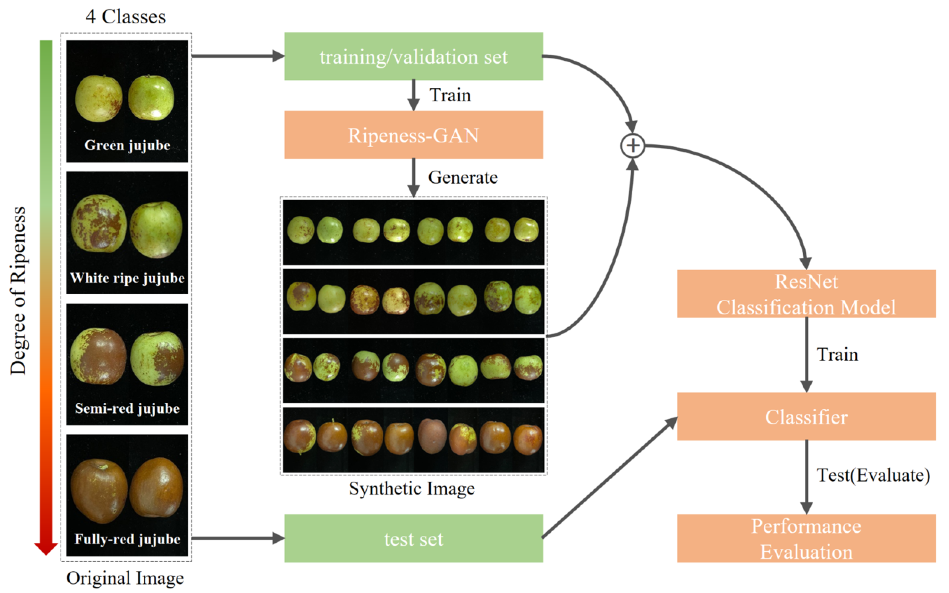 Agronomy 15 02409 g002