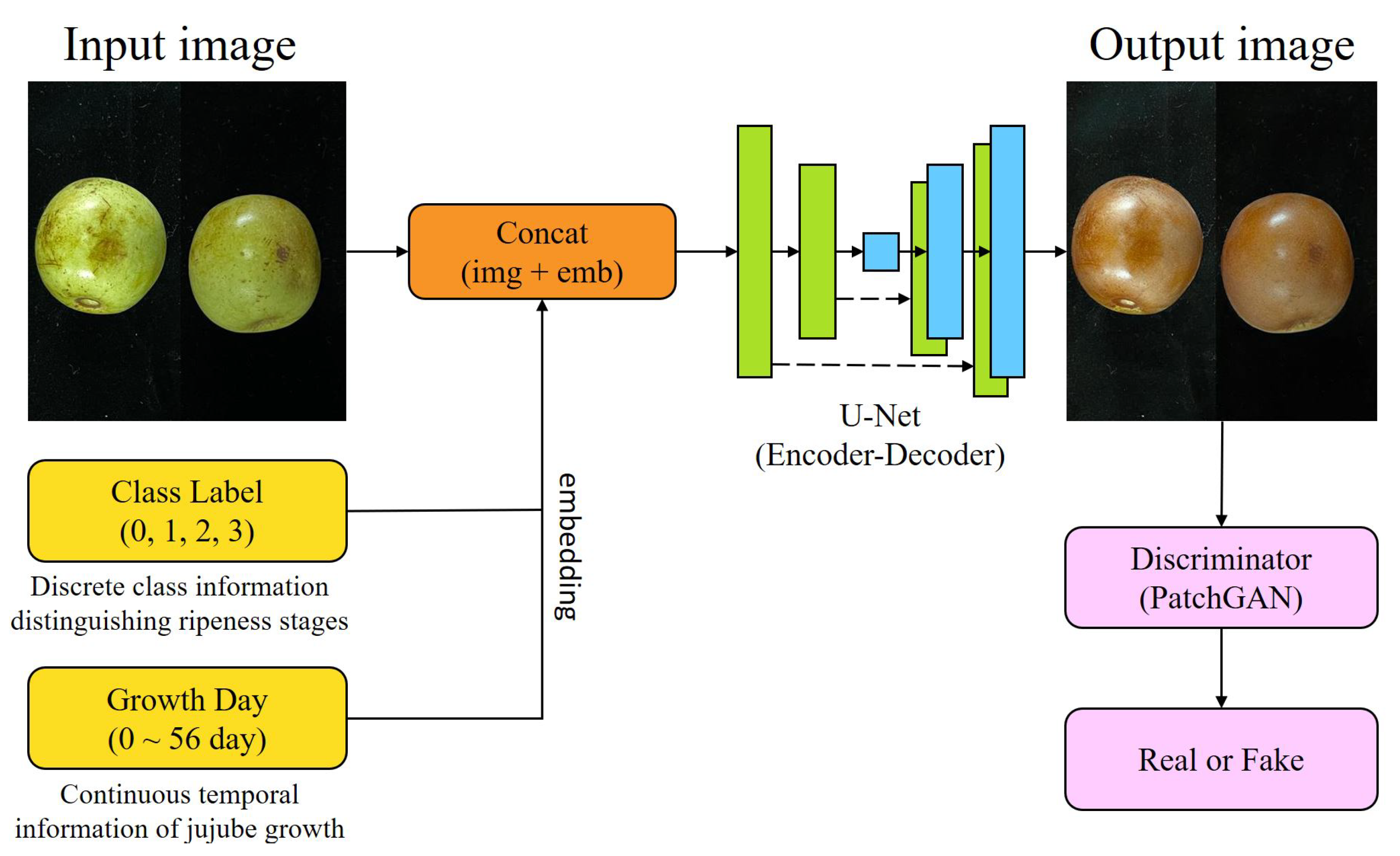 Agronomy 15 02409 g004