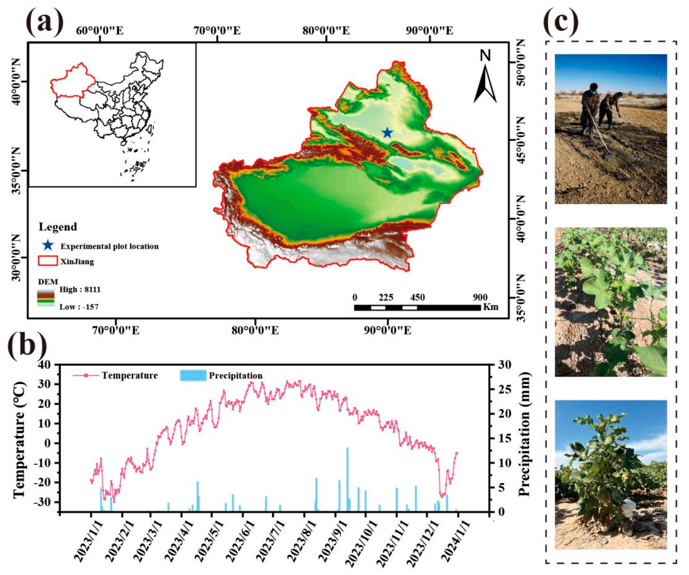 Agronomy 15 02412 g001