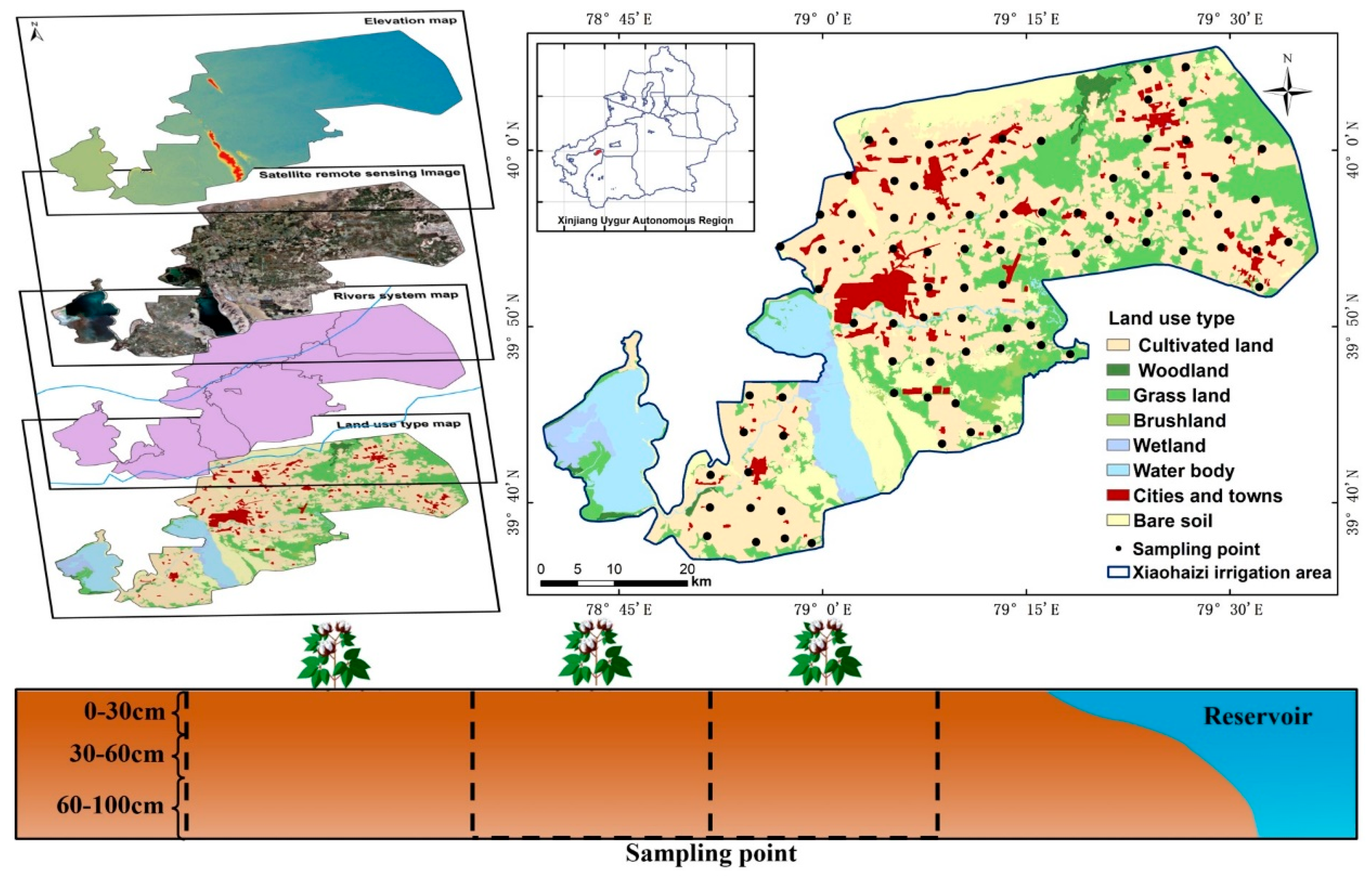 Agronomy 15 02413 g001