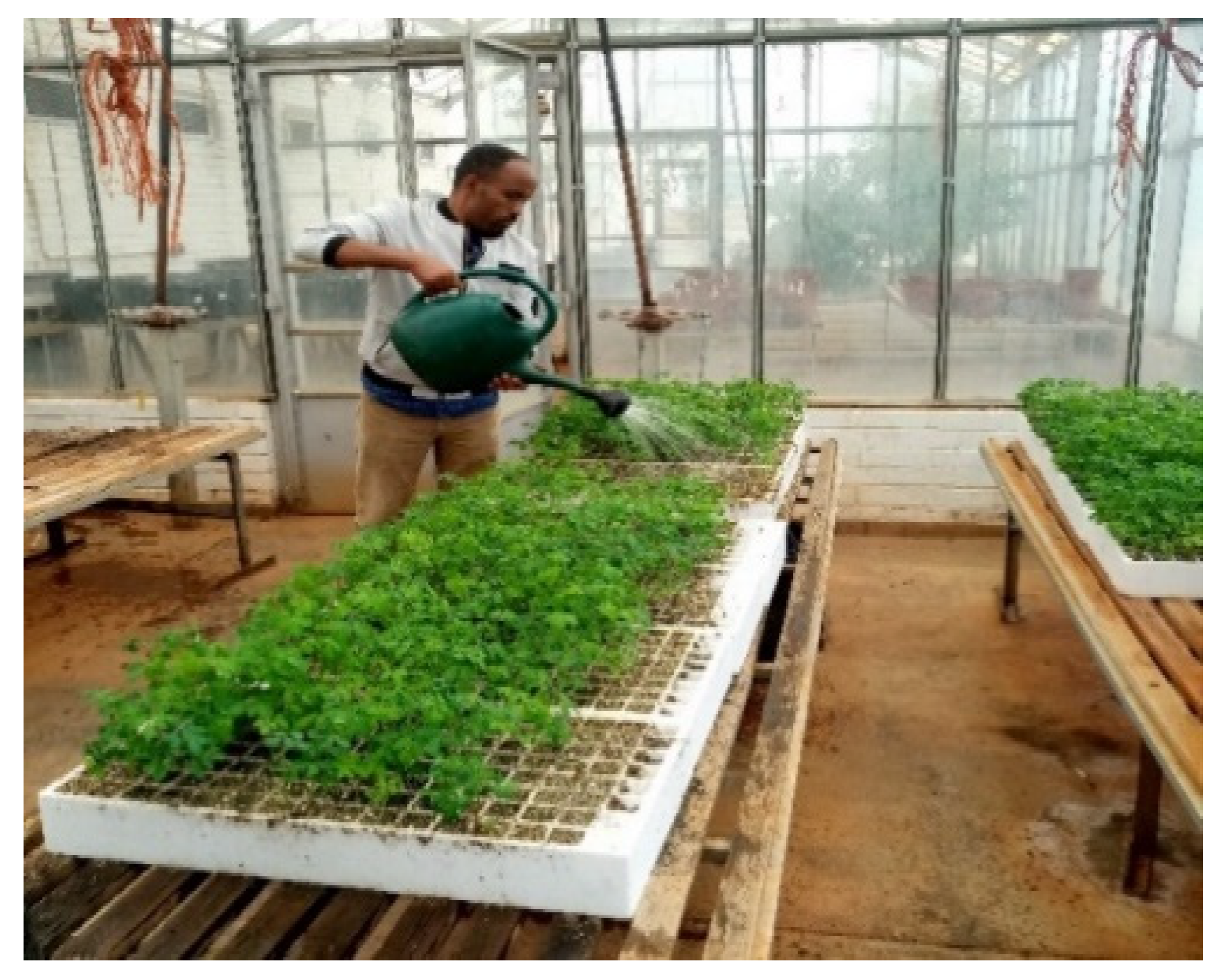 Agronomy 15 02414 g001 Agronomy 15 02414 g001