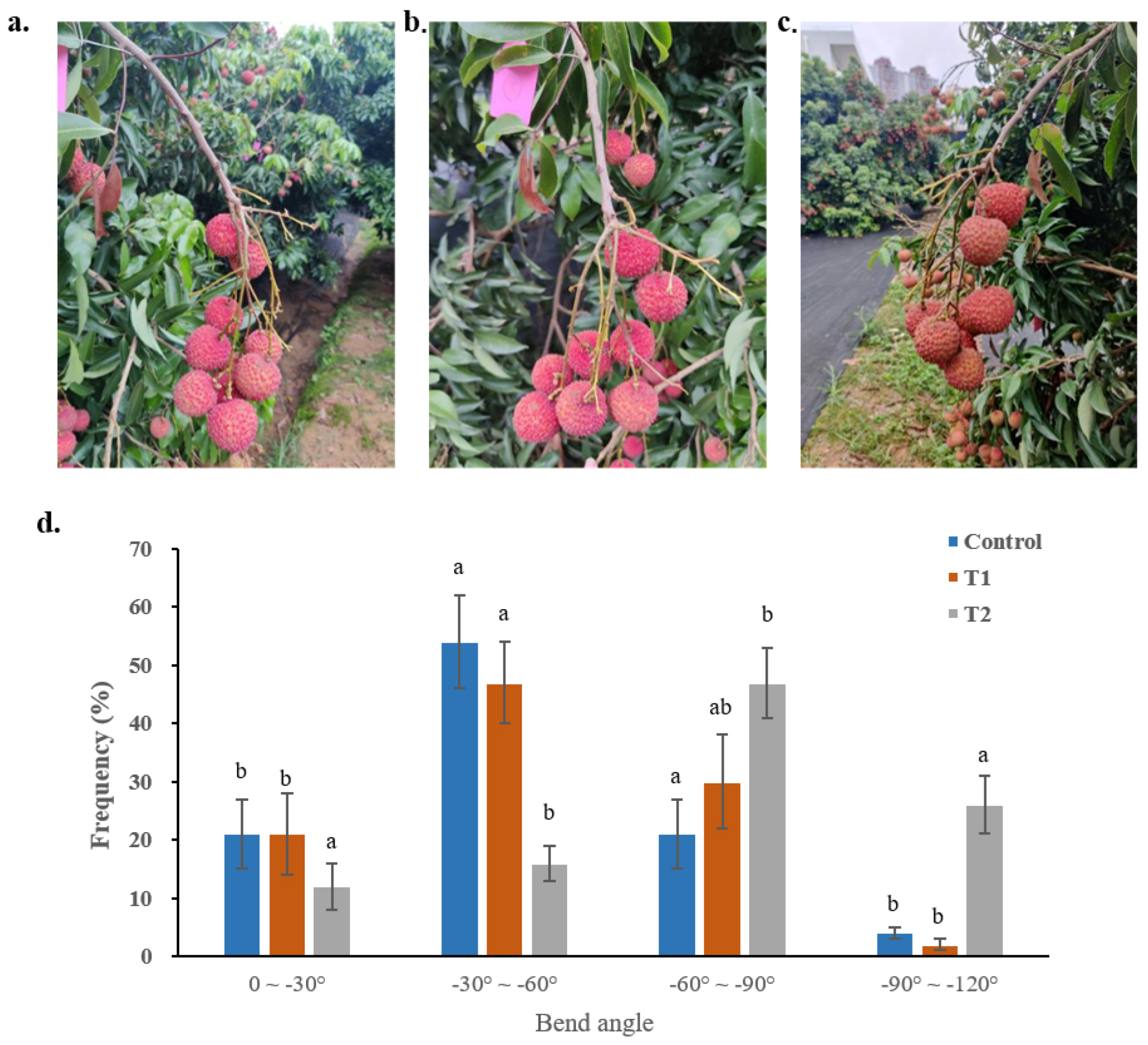 Agronomy 15 02421 g006 Agronomy 15 02421 g006