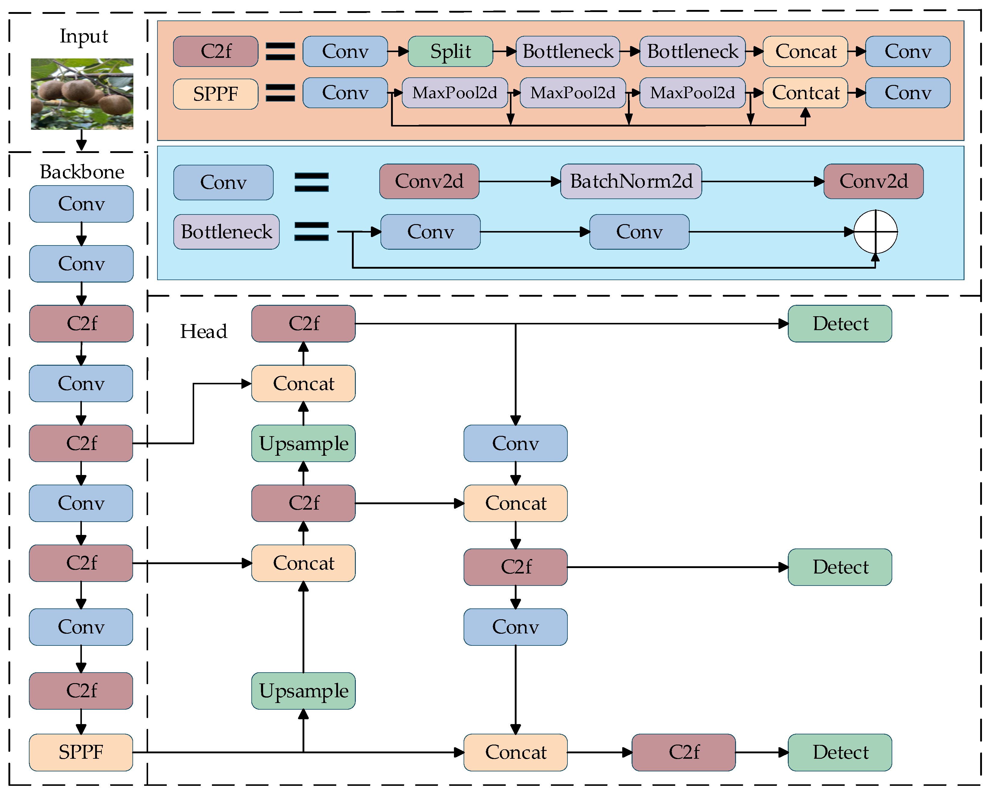 Agronomy 15 02424 g003