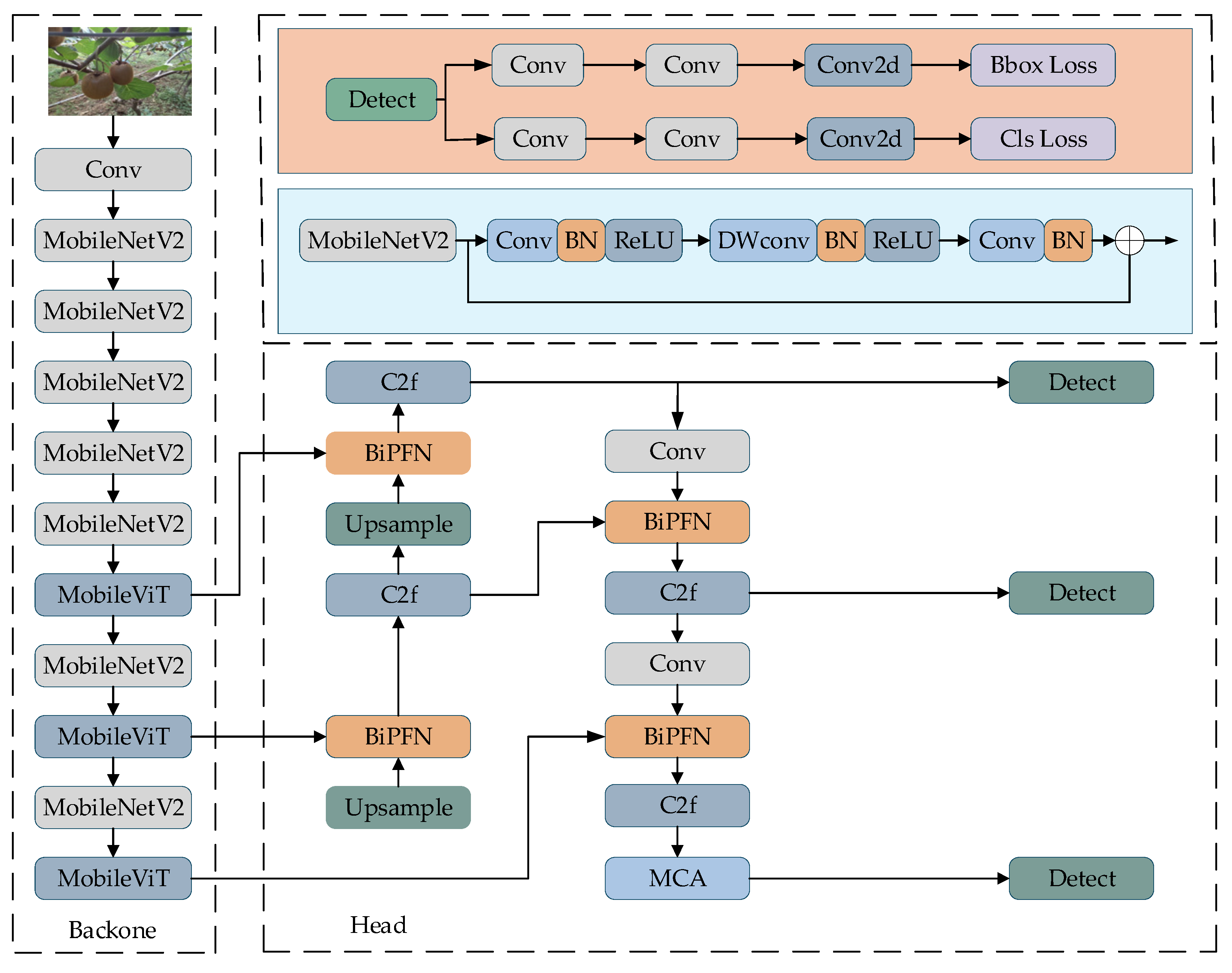 Agronomy 15 02424 g004
