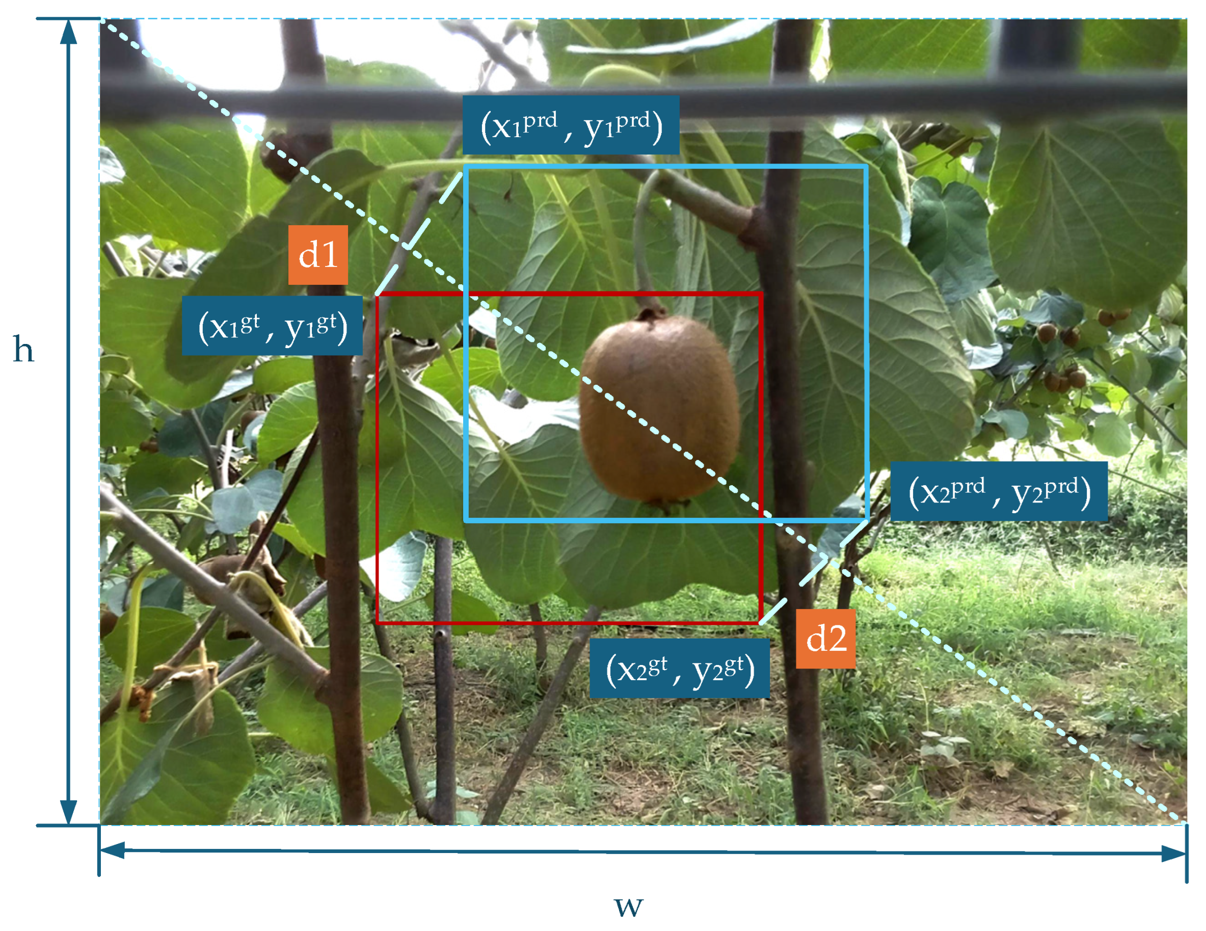 Agronomy 15 02424 g011
