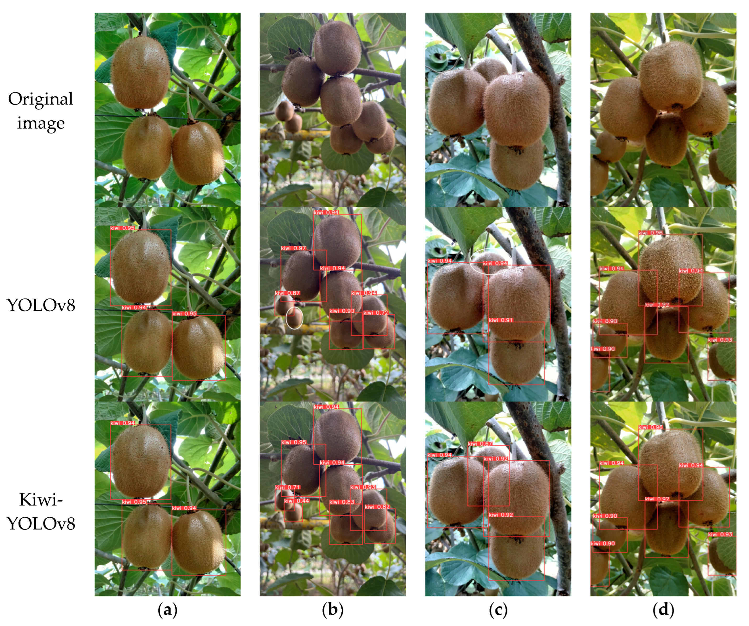 Agronomy 15 02424 g013