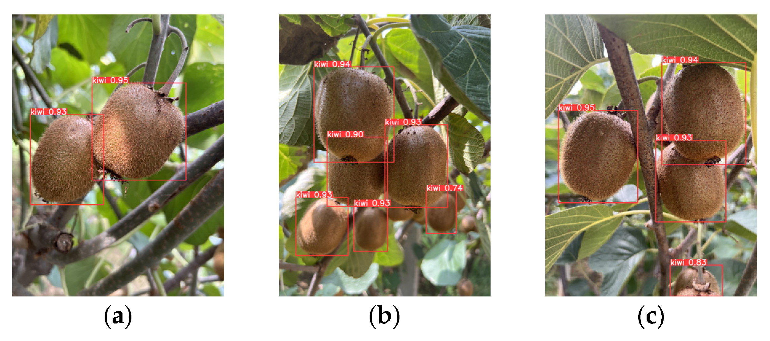 Agronomy 15 02424 g014a