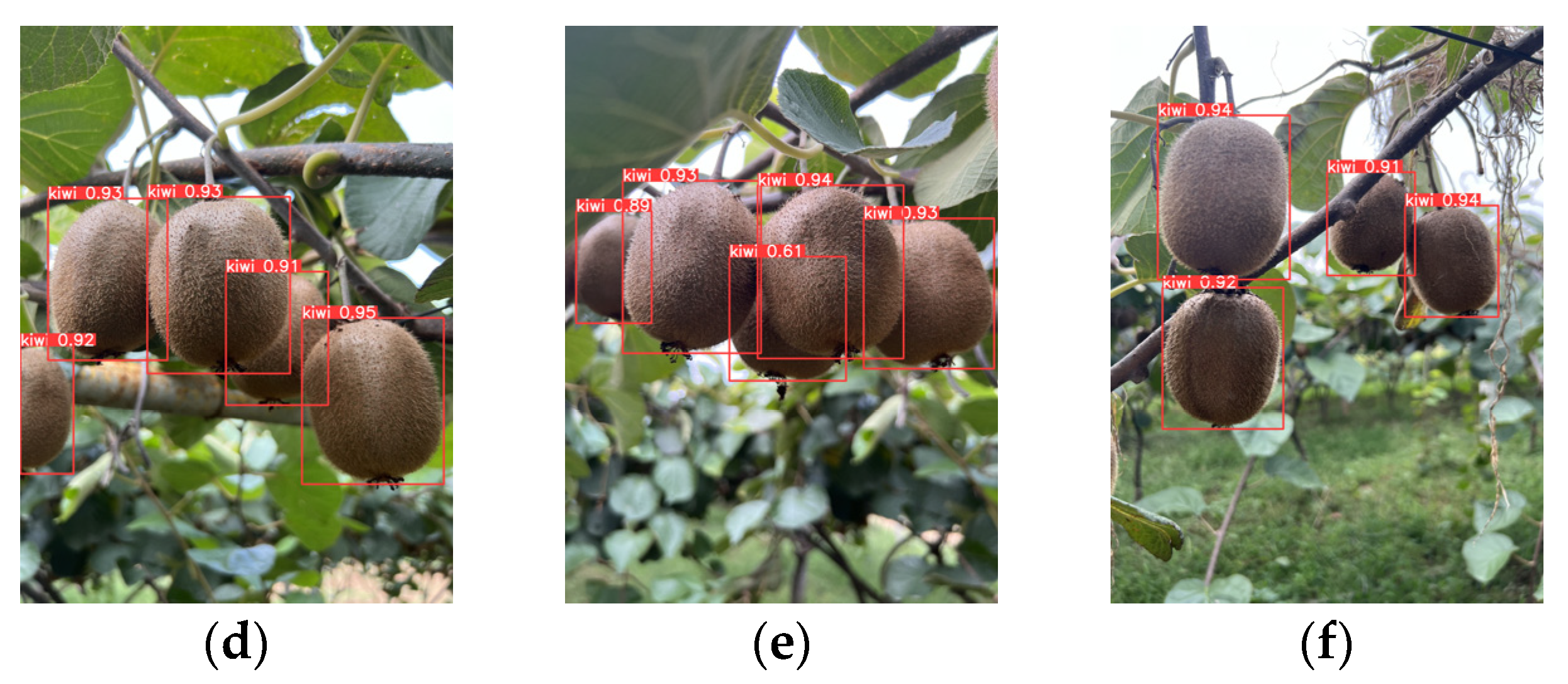 Agronomy 15 02424 g014b