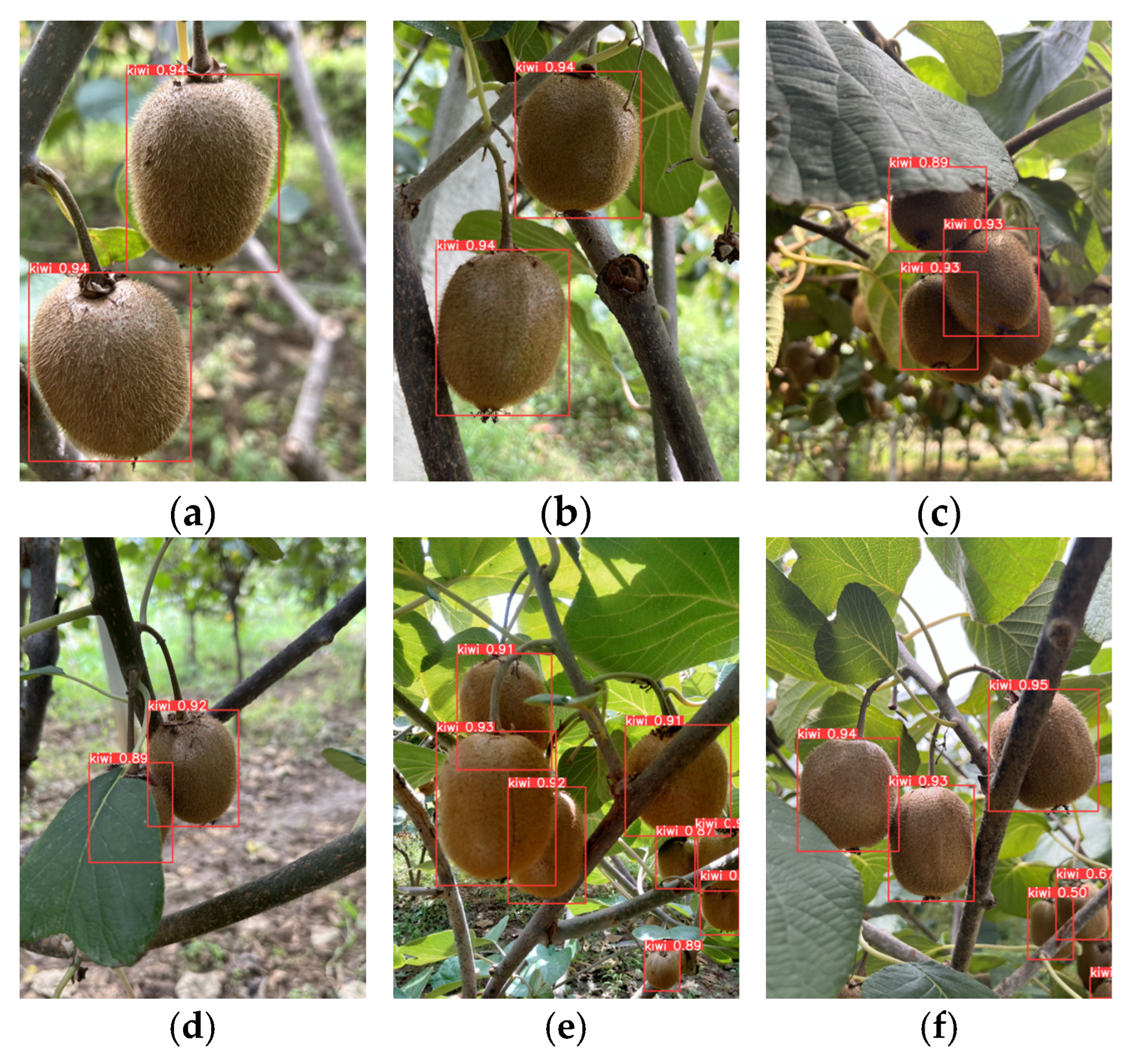 Agronomy 15 02424 g015