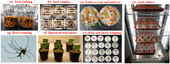 Calibration and Testing of Discrete Element Simulation Parameters