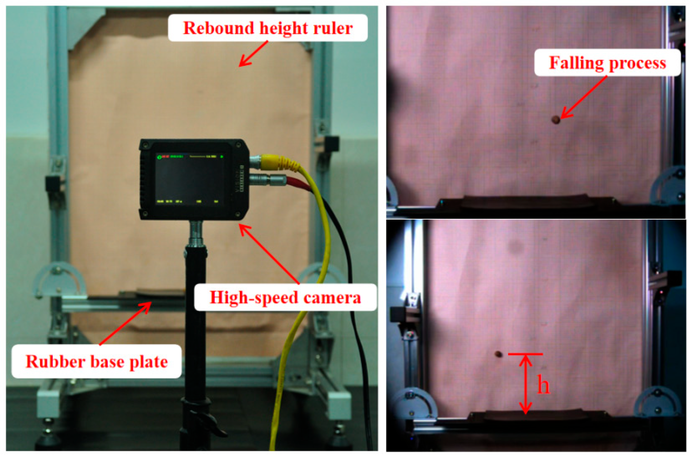 Agronomy 15 02440 g004