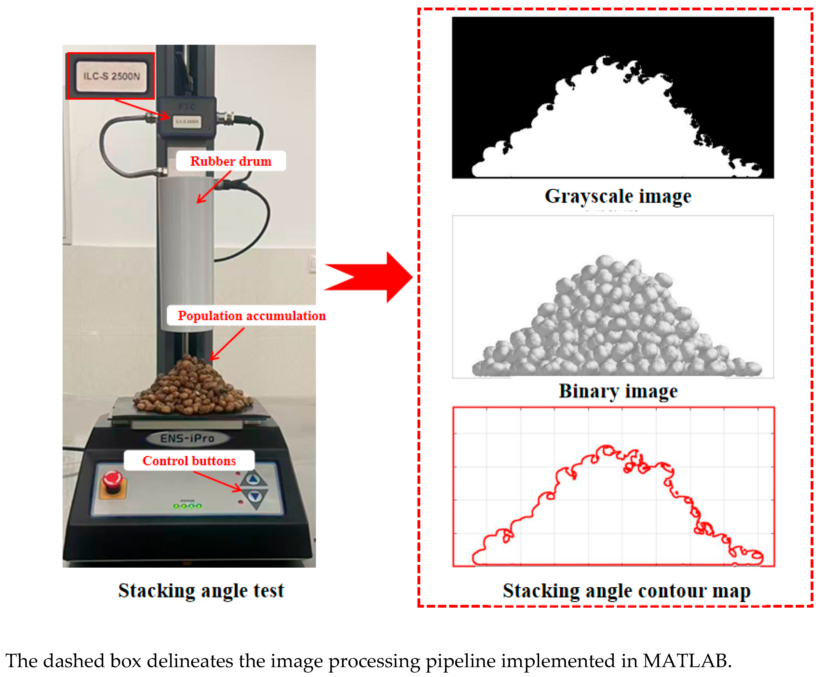 Agronomy 15 02440 g005