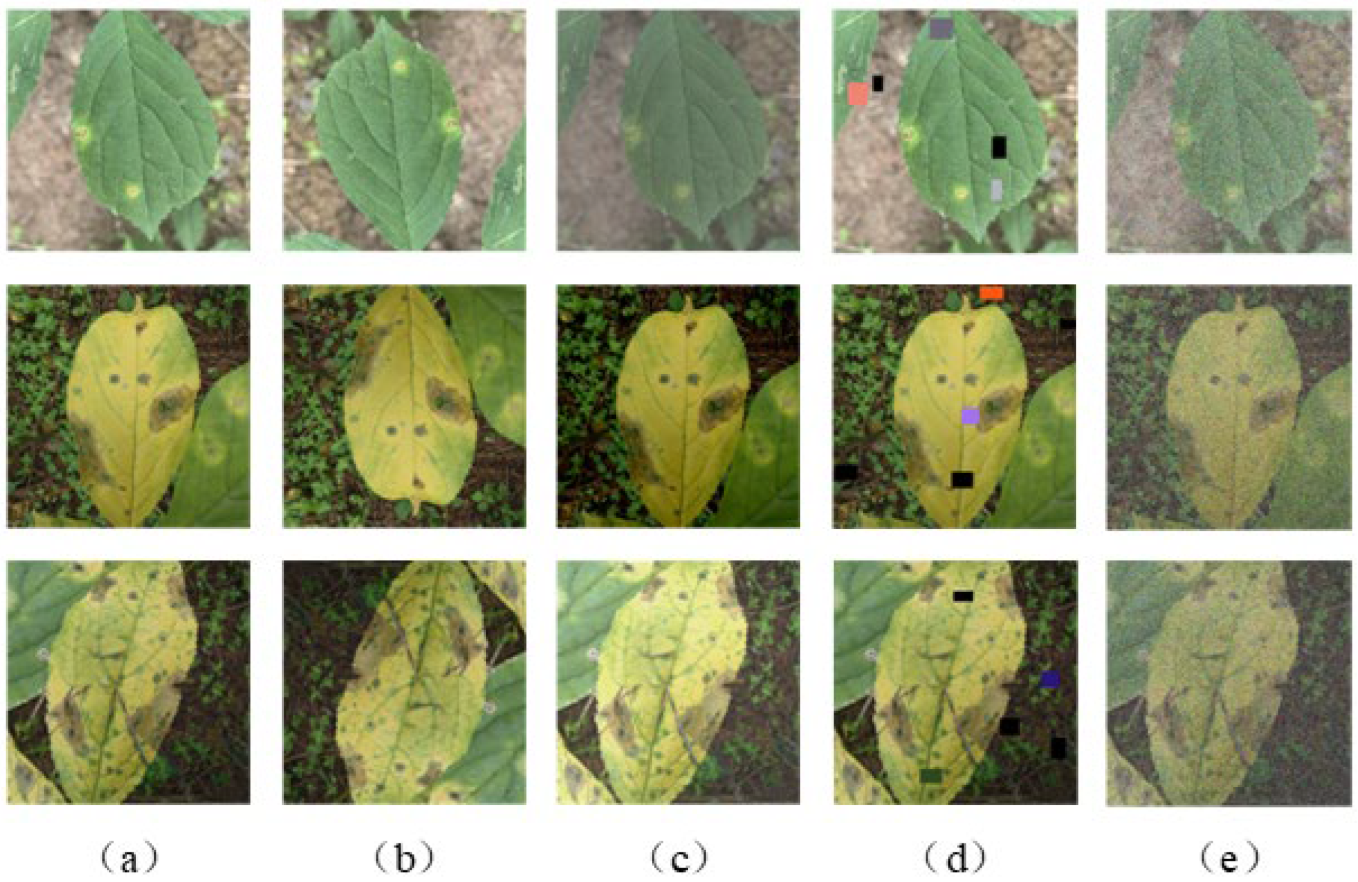 Agronomy 15 02450 g002