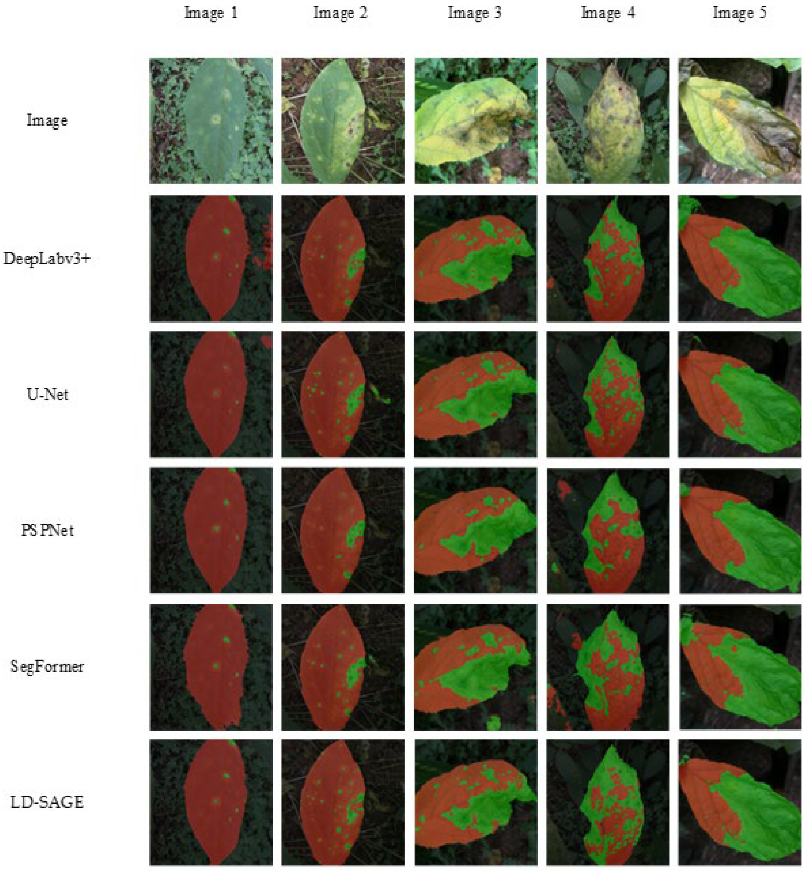 Agronomy 15 02450 g011