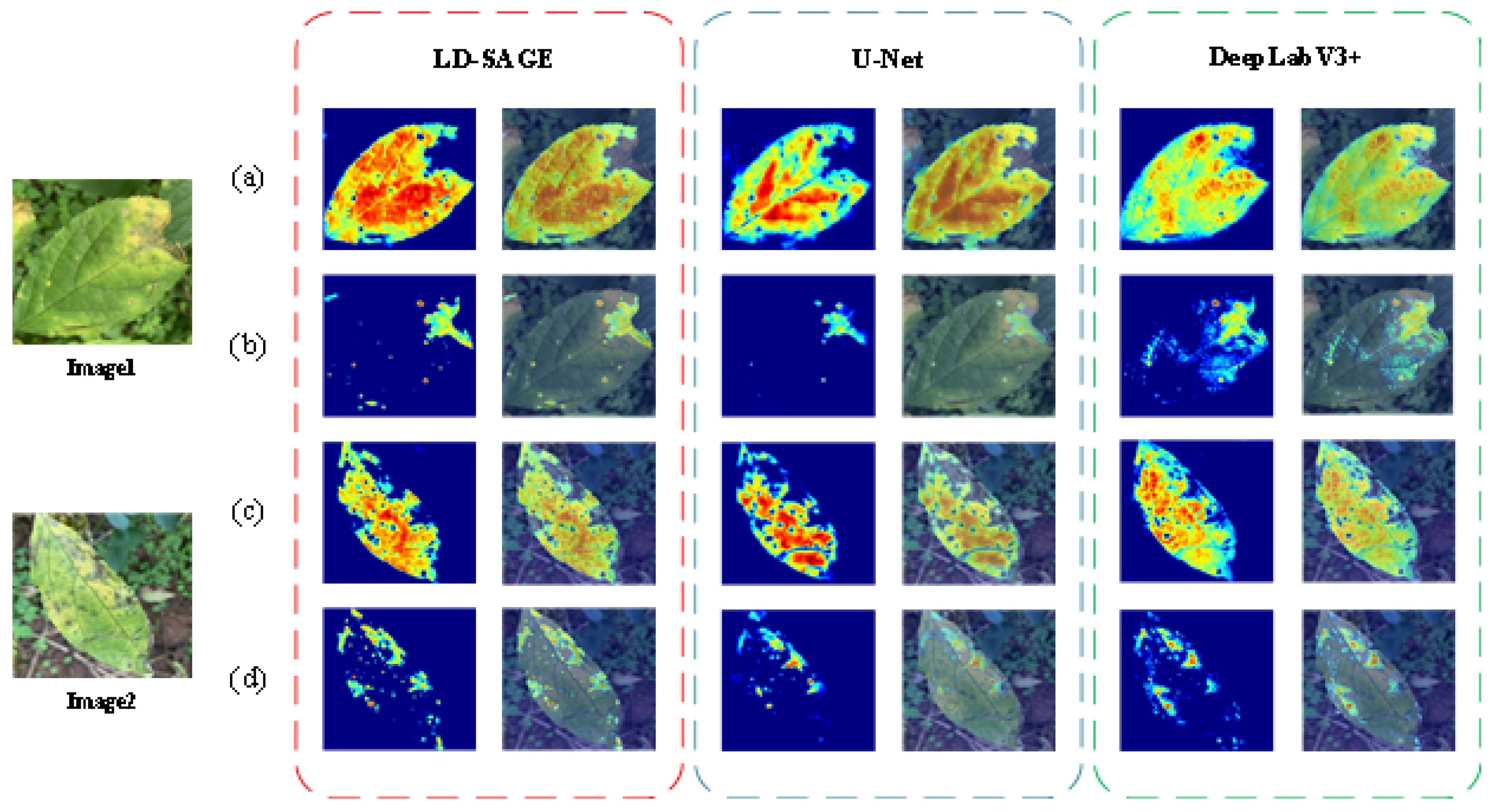 Agronomy 15 02450 g012