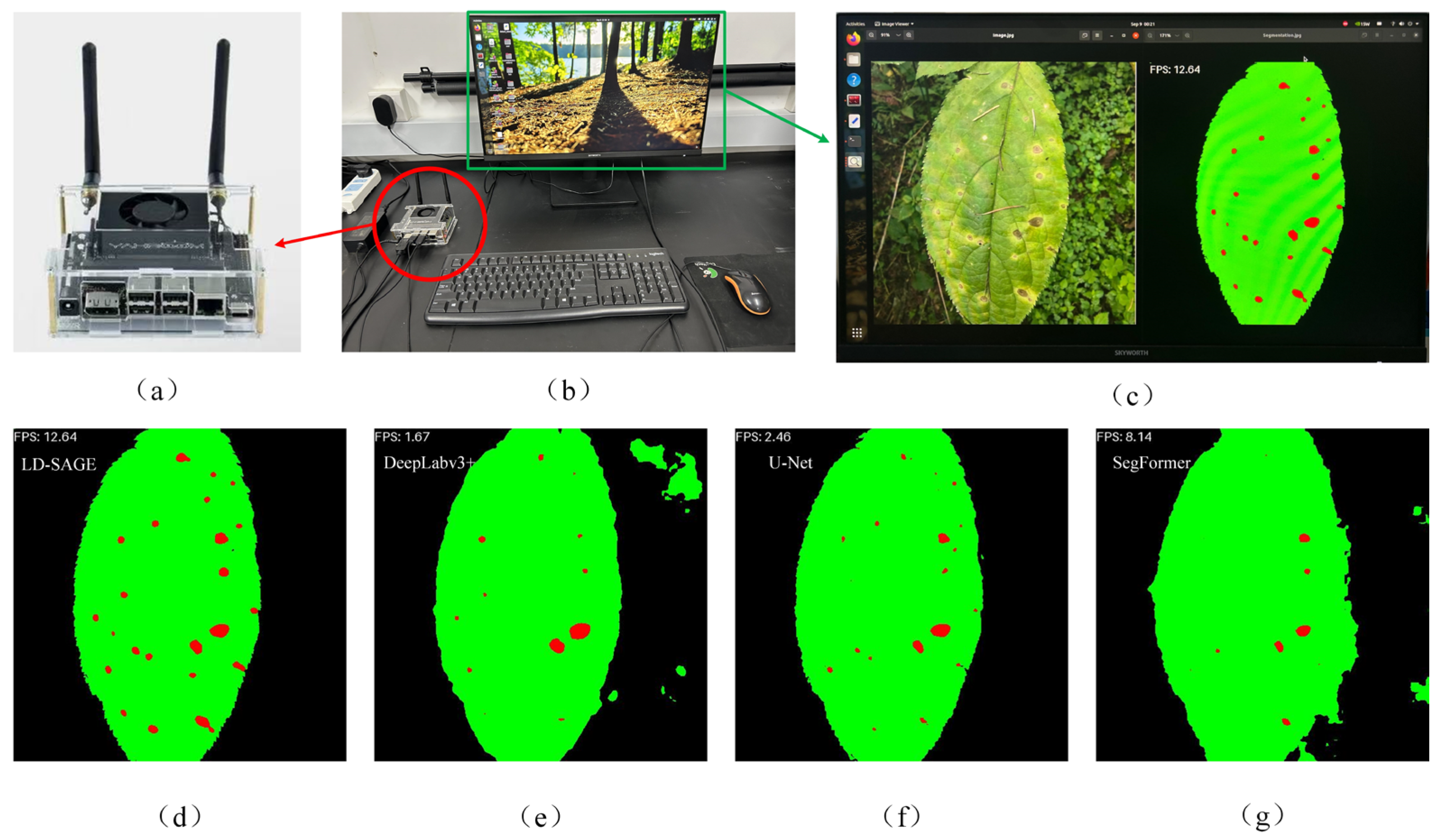 Agronomy 15 02450 g013