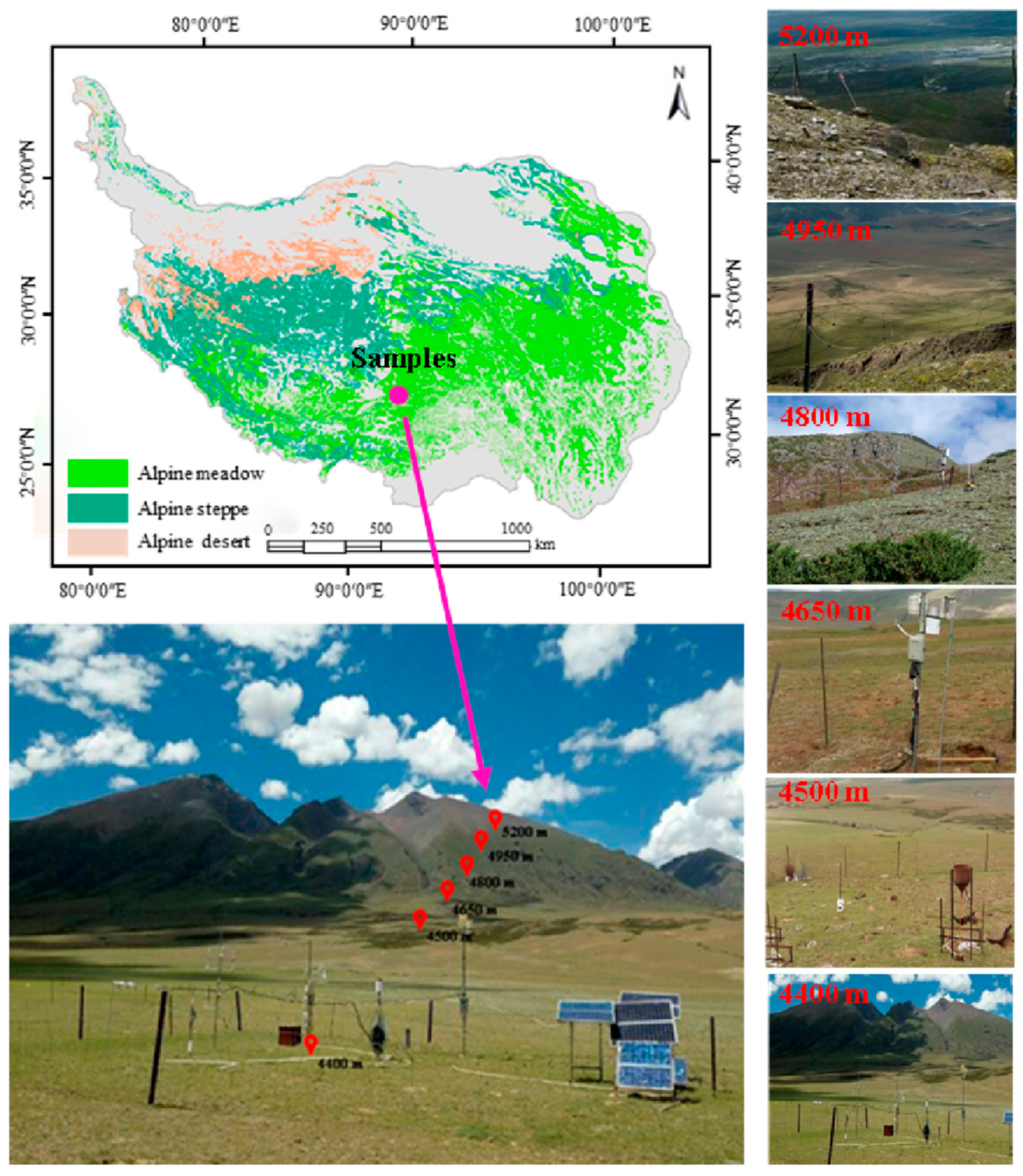 Agronomy 15 02474 g001 Agronomy 15 02474 g001
