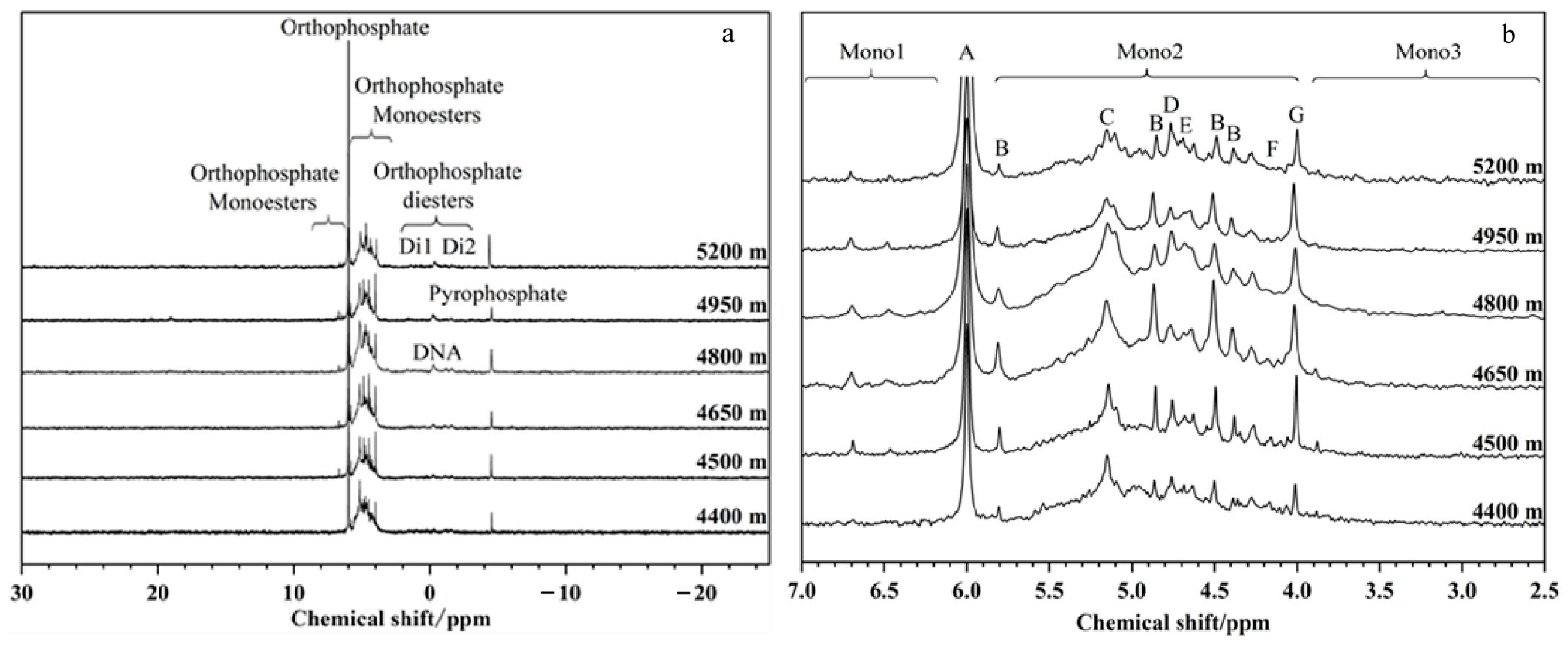 Agronomy 15 02474 g004 Agronomy 15 02474 g004
