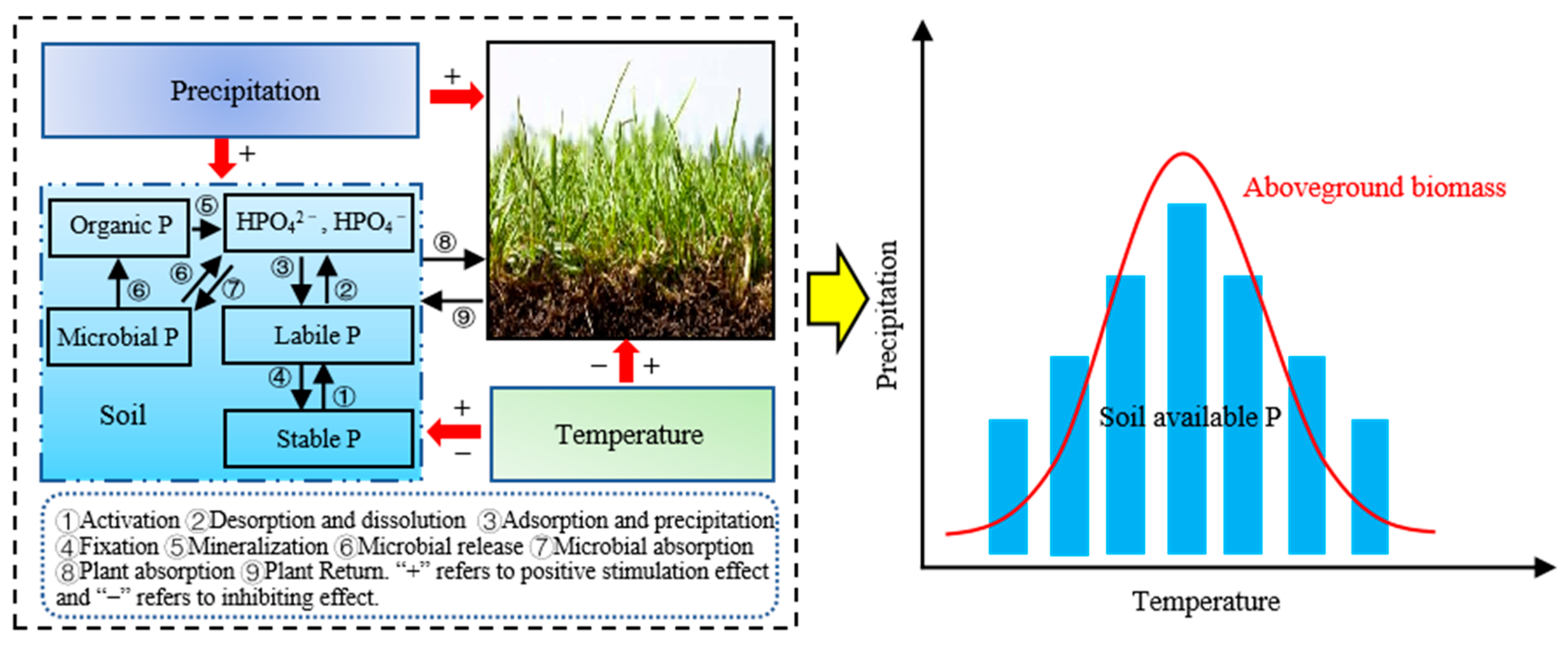 Agronomy 15 02474 g008 Agronomy 15 02474 g008