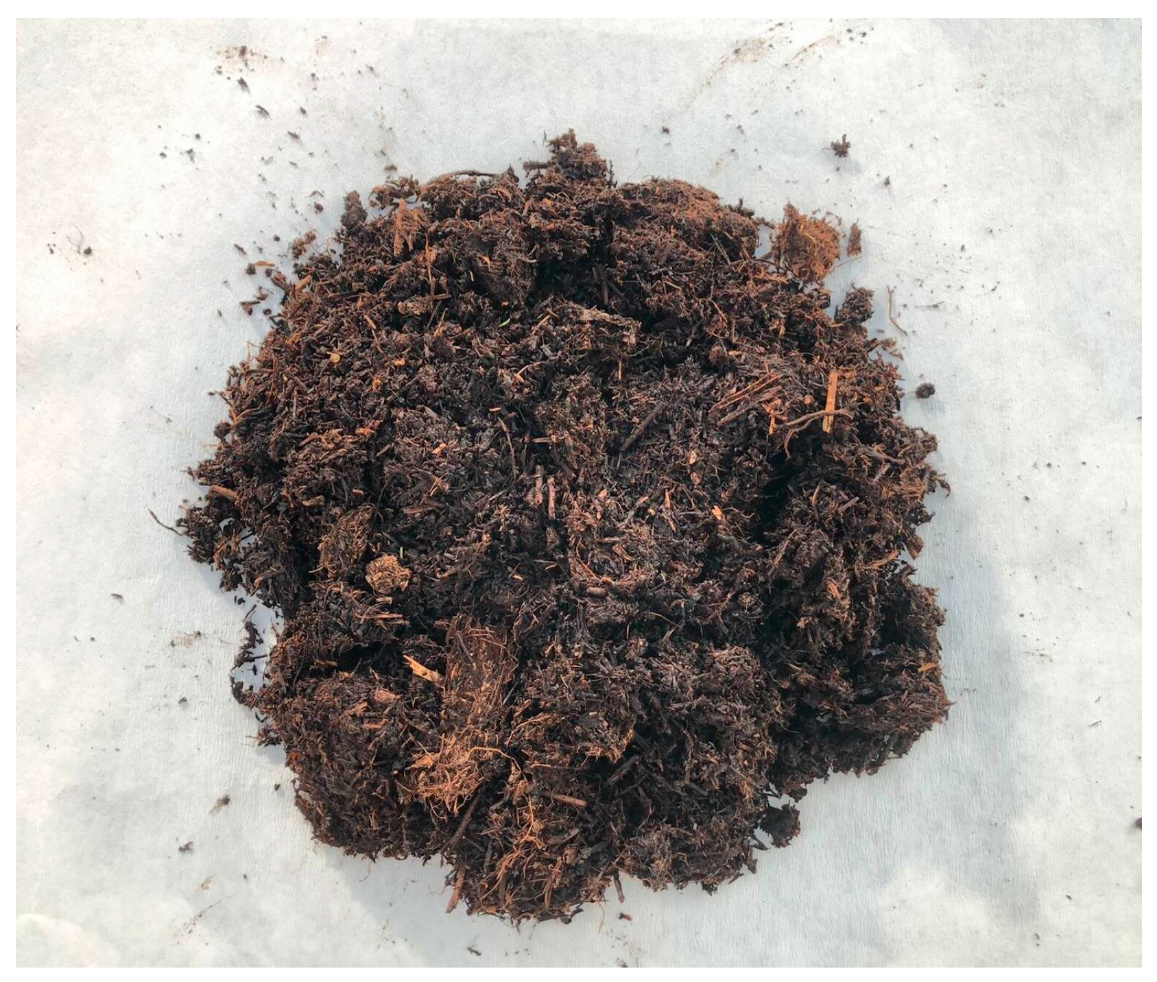 Agronomy 15 02478 g001 Agronomy 15 02478 g001