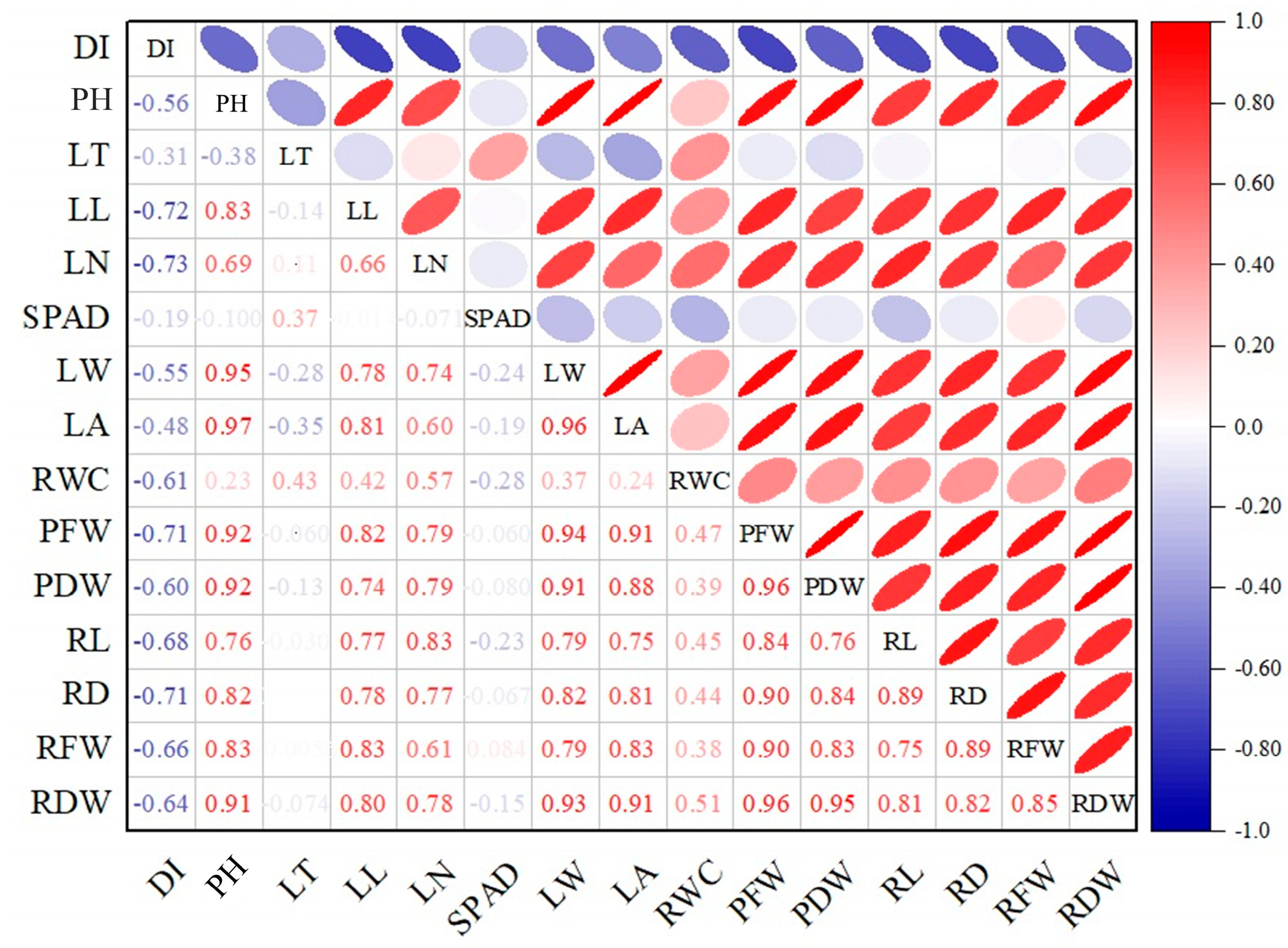 Agronomy 15 02478 g004 Agronomy 15 02478 g004