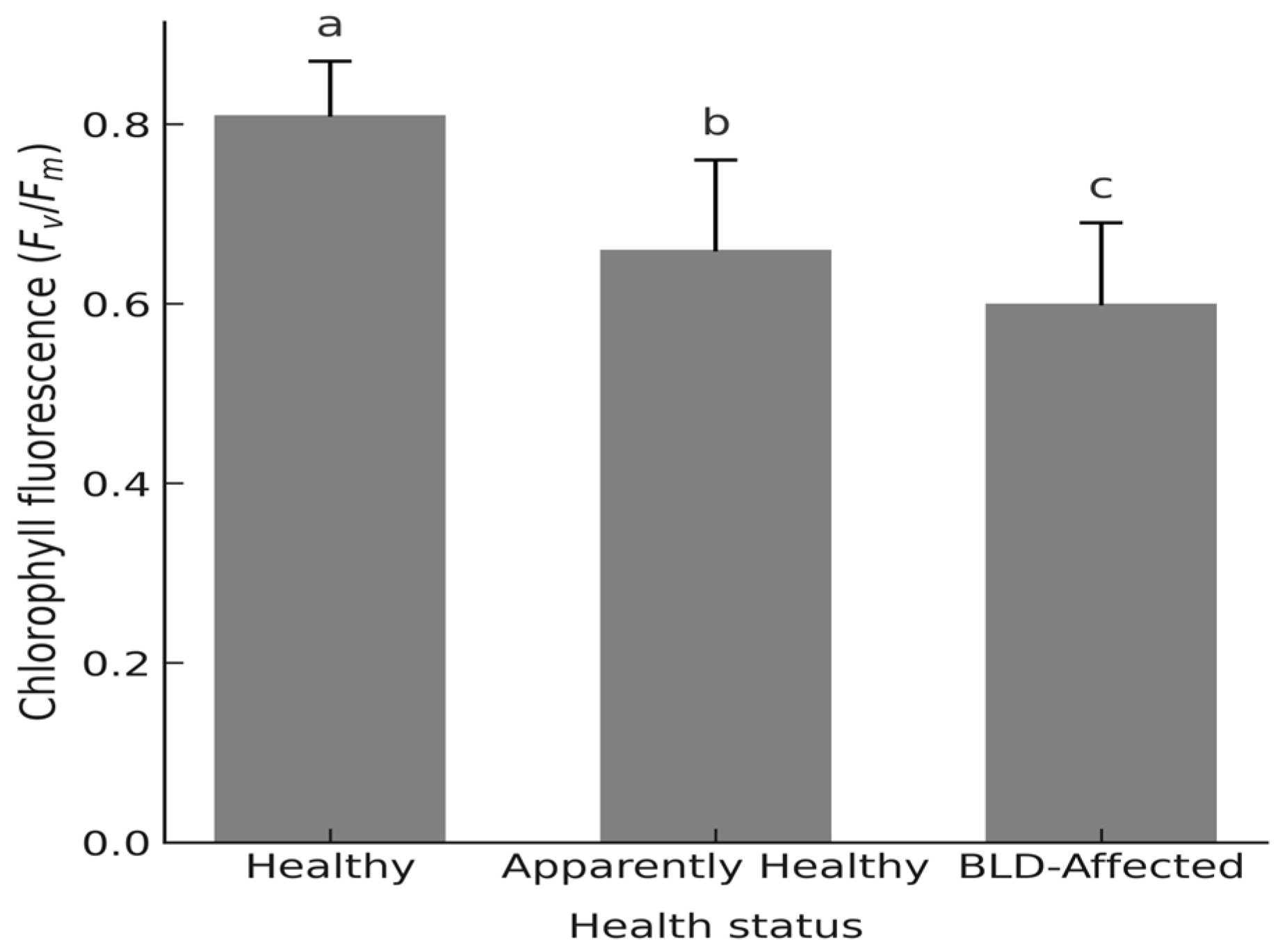 Agronomy 15 02490 g004