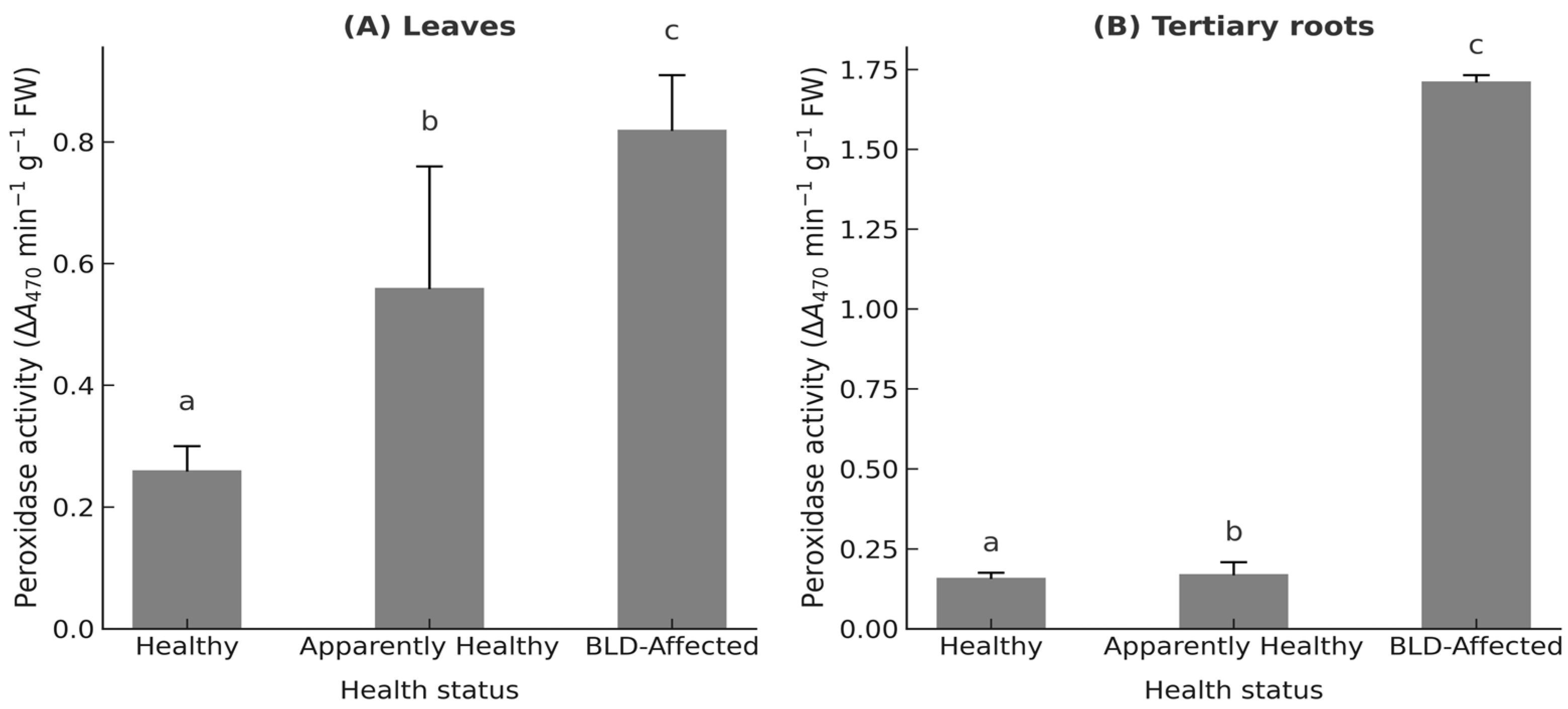 Agronomy 15 02490 g006