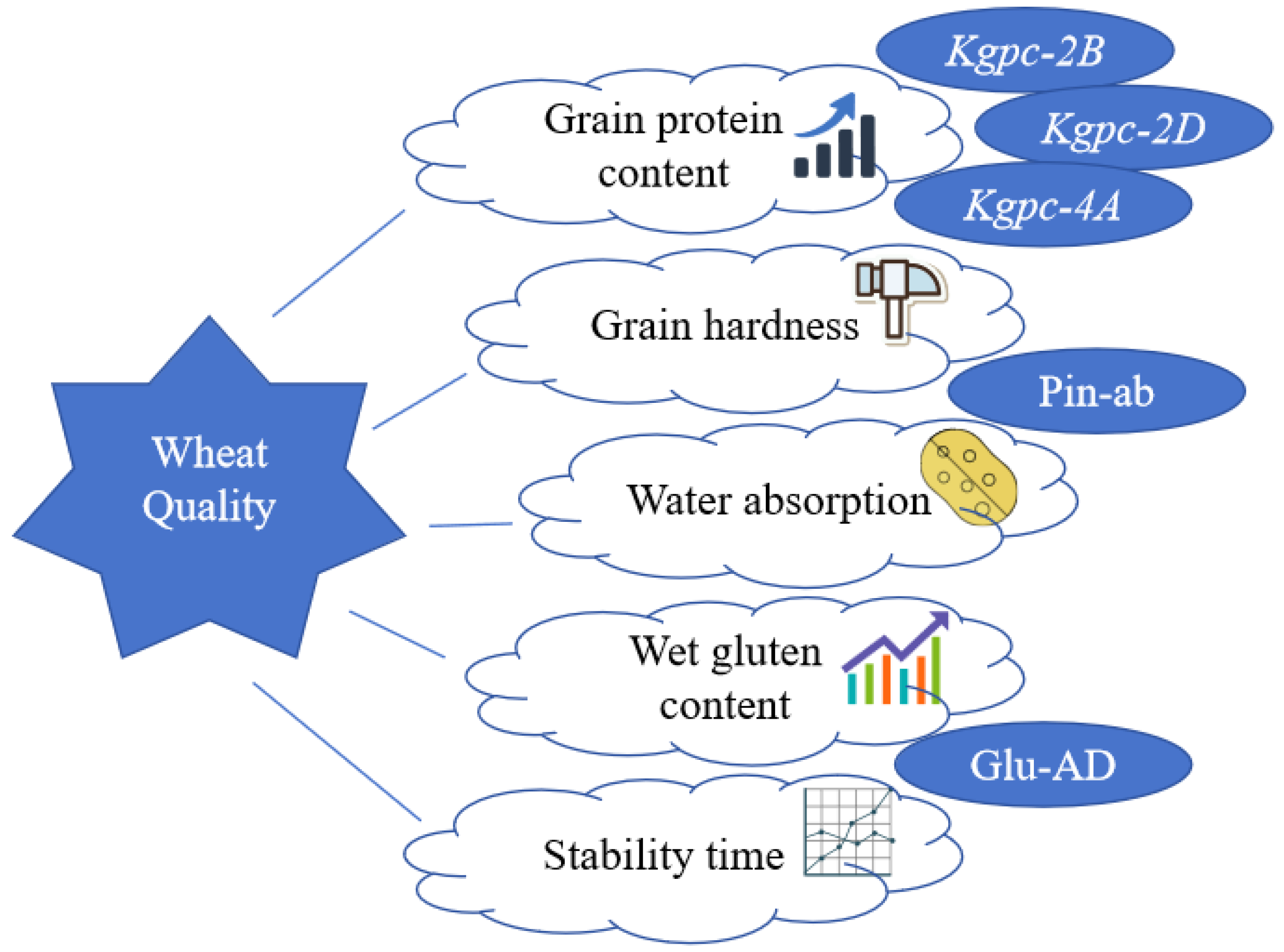 Agronomy 15 02494 g001 Agronomy 15 02494 g001