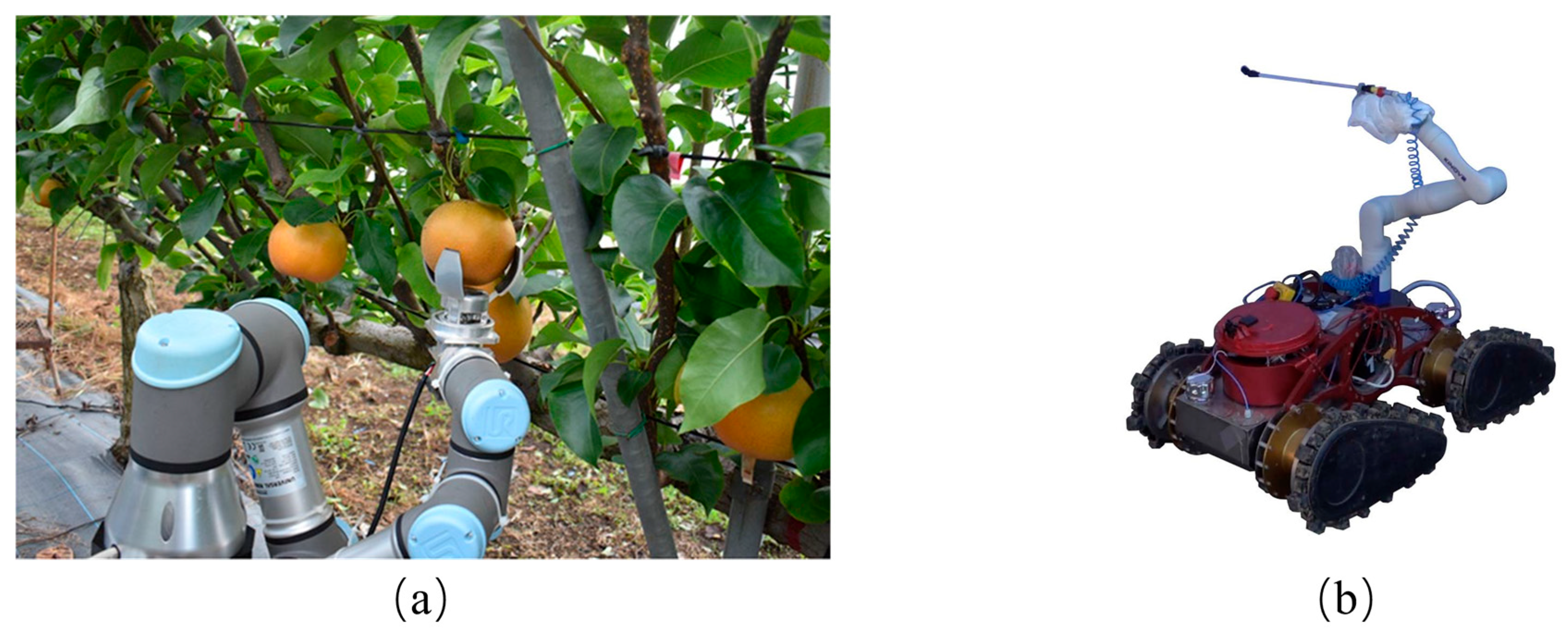 Agronomy 15 02498 g001 Agronomy 15 02498 g001