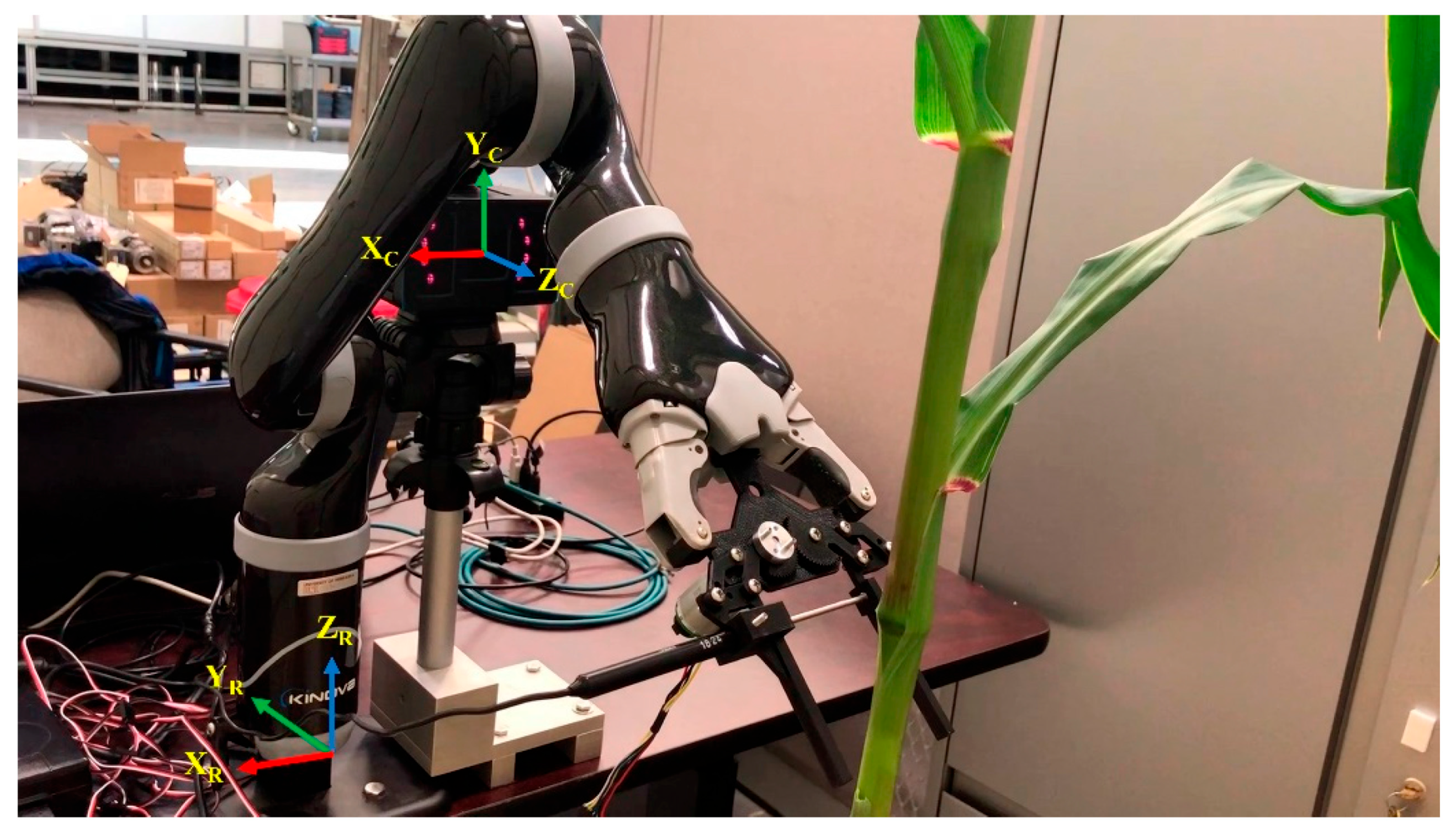 Agronomy 15 02498 g003 Agronomy 15 02498 g003