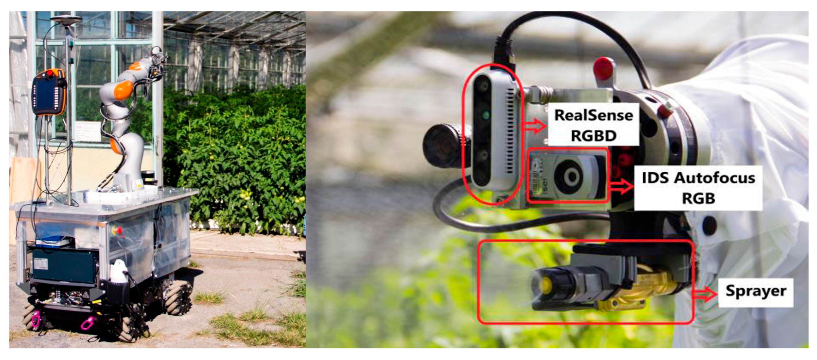 Agronomy 15 02498 g004 Agronomy 15 02498 g004