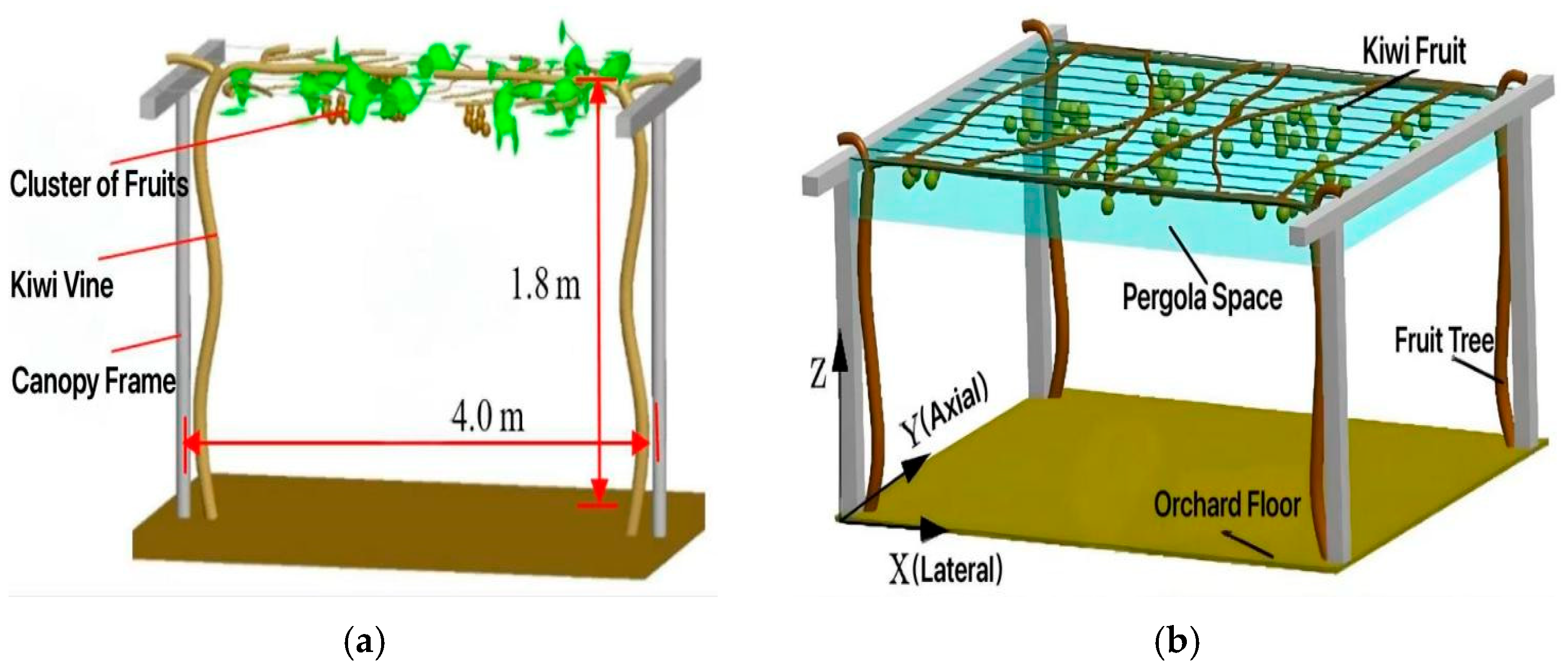 Agronomy 15 02499 g001