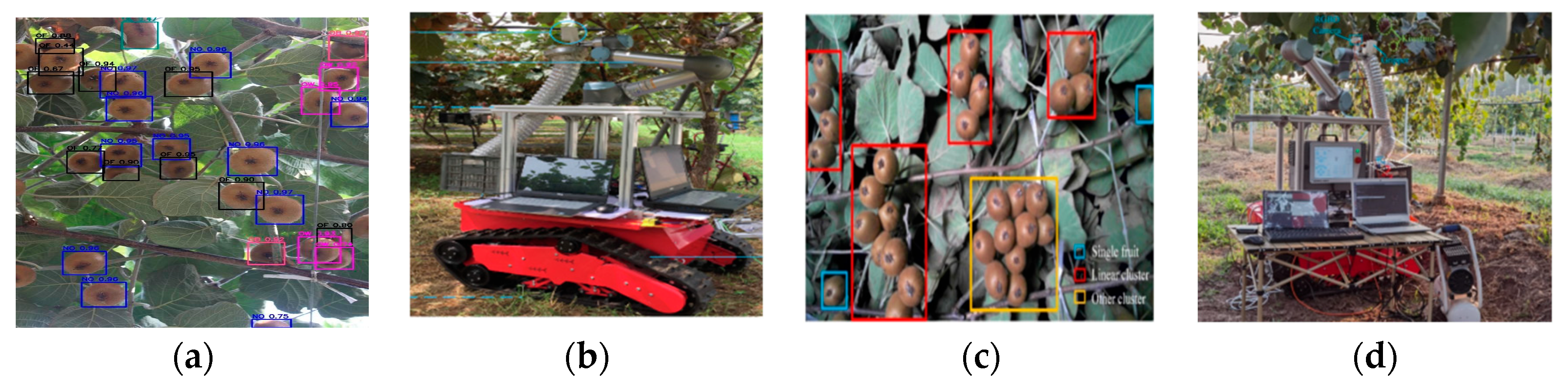 Agronomy 15 02499 g002