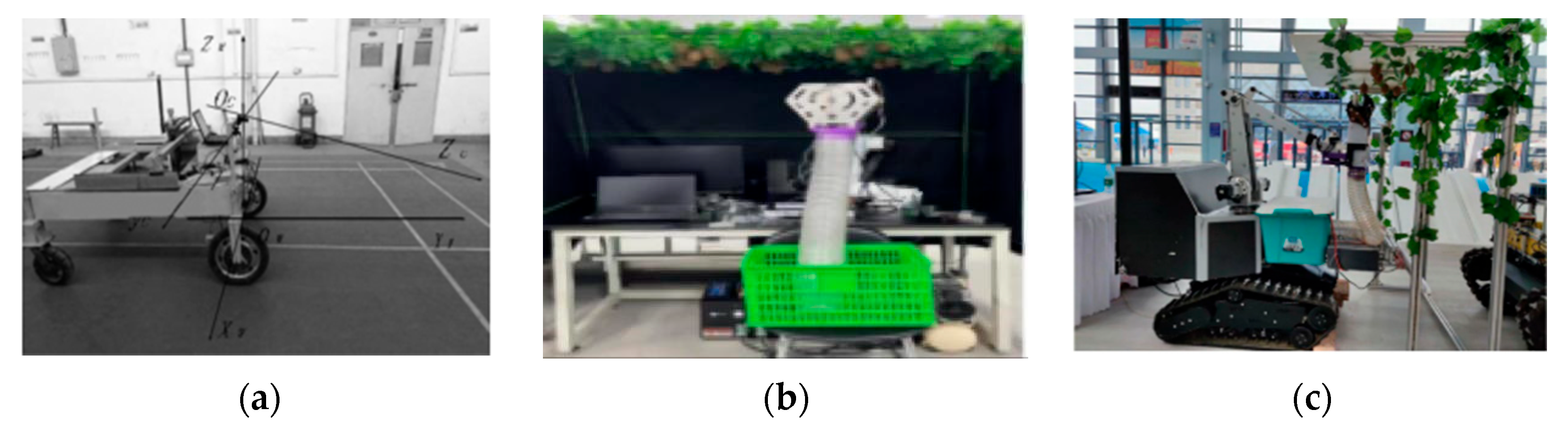Agronomy 15 02499 g003