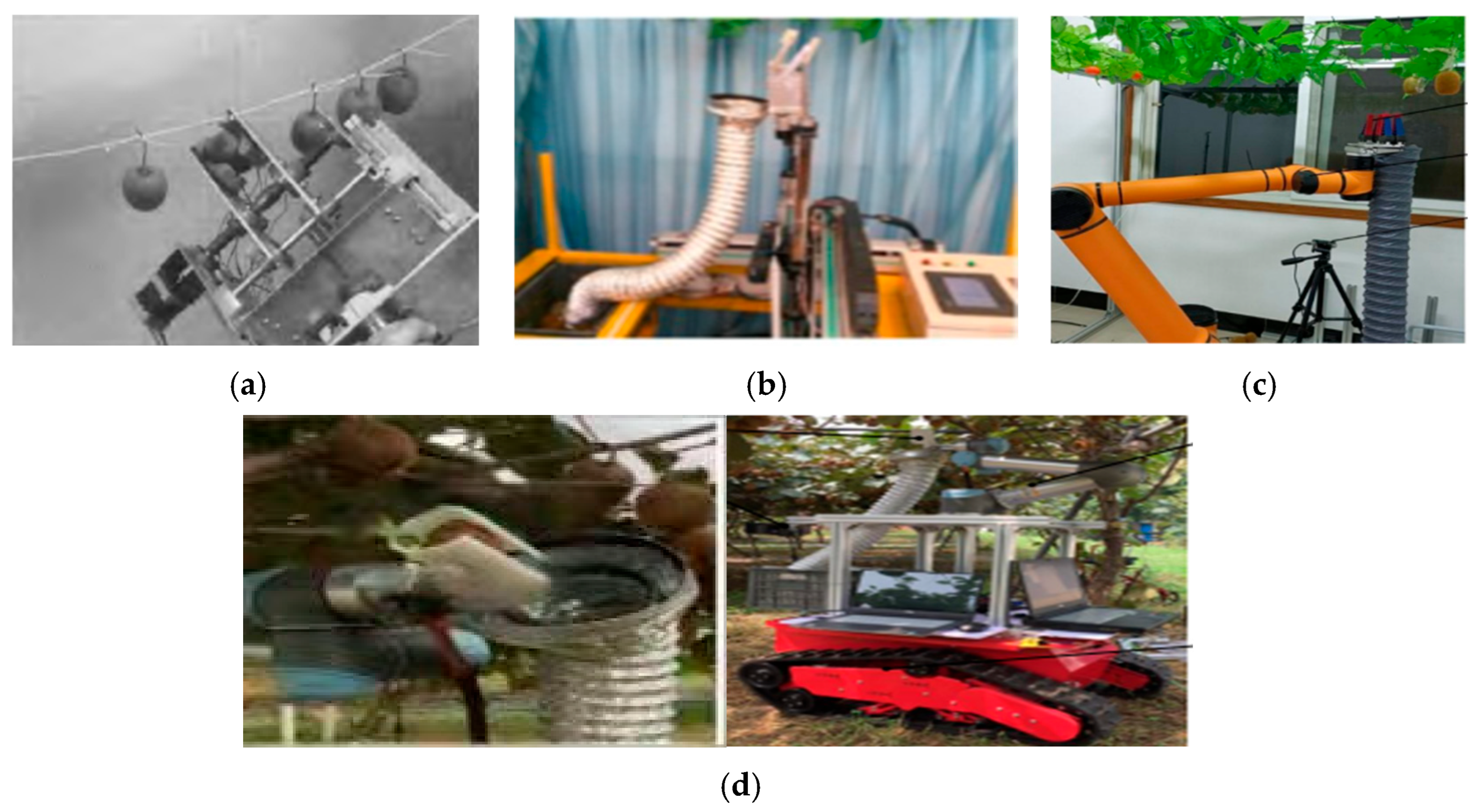 Agronomy 15 02499 g006