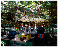 Agronomy 15 02499 i003